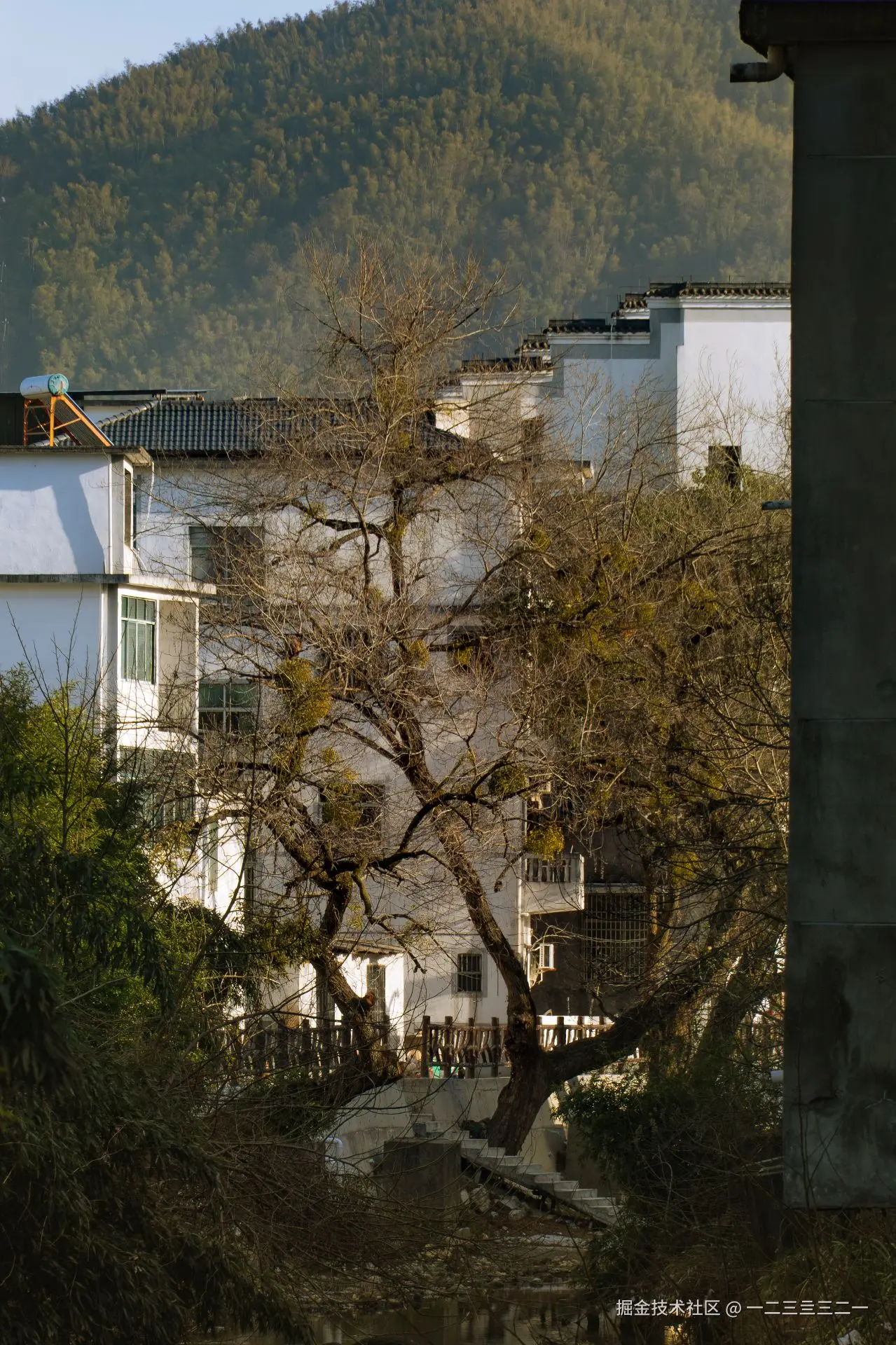 一二三亖三二一于2026-01-13 14:16发布的图片