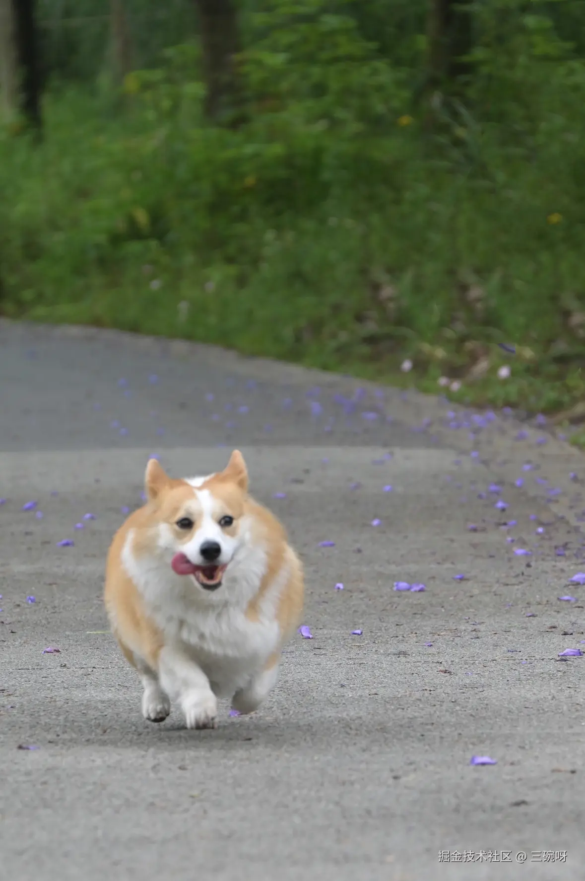 三碗呀于2025-05-19 11:49发布的图片