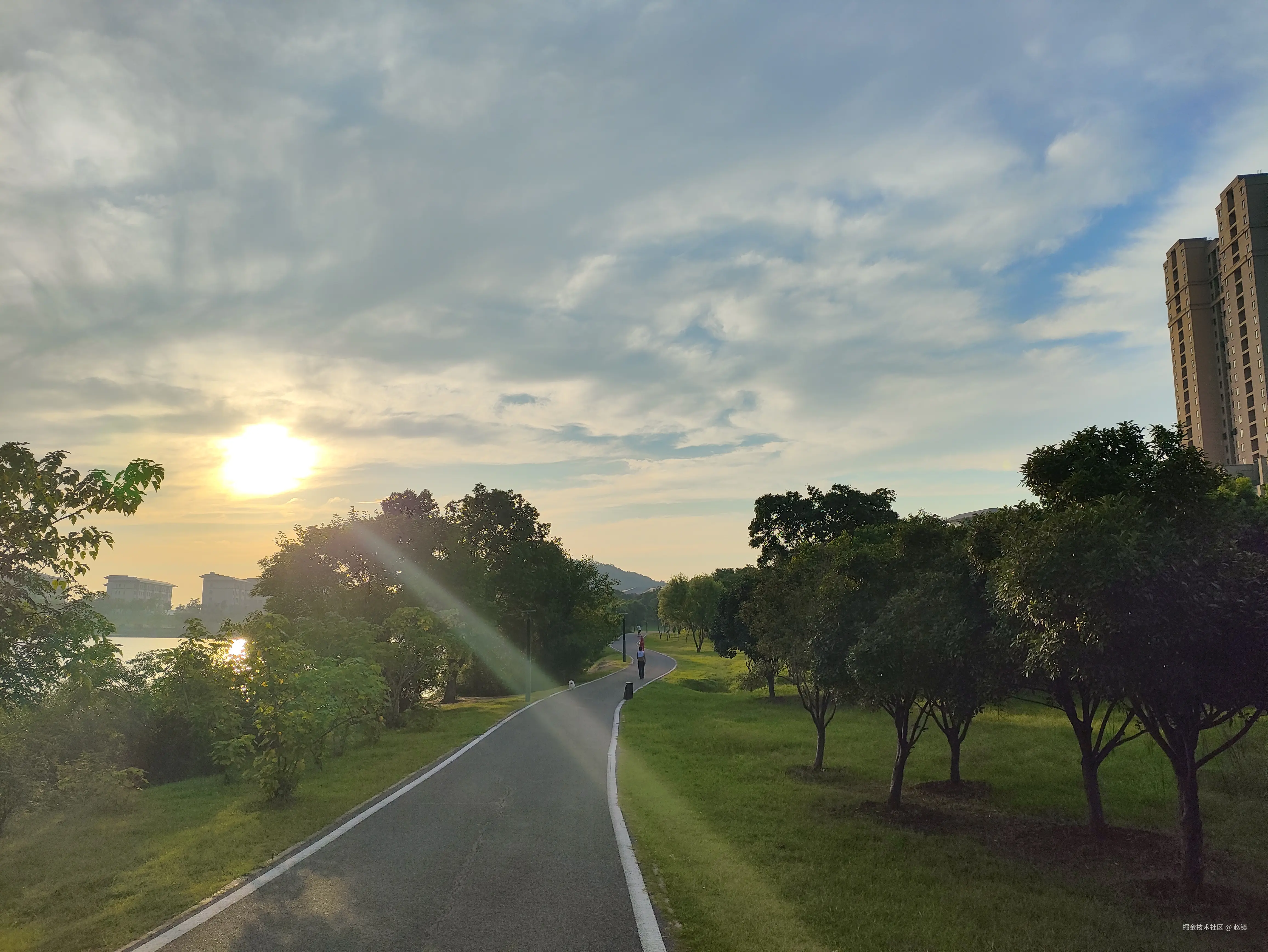 赵镇于2024-07-23 23:04发布的图片