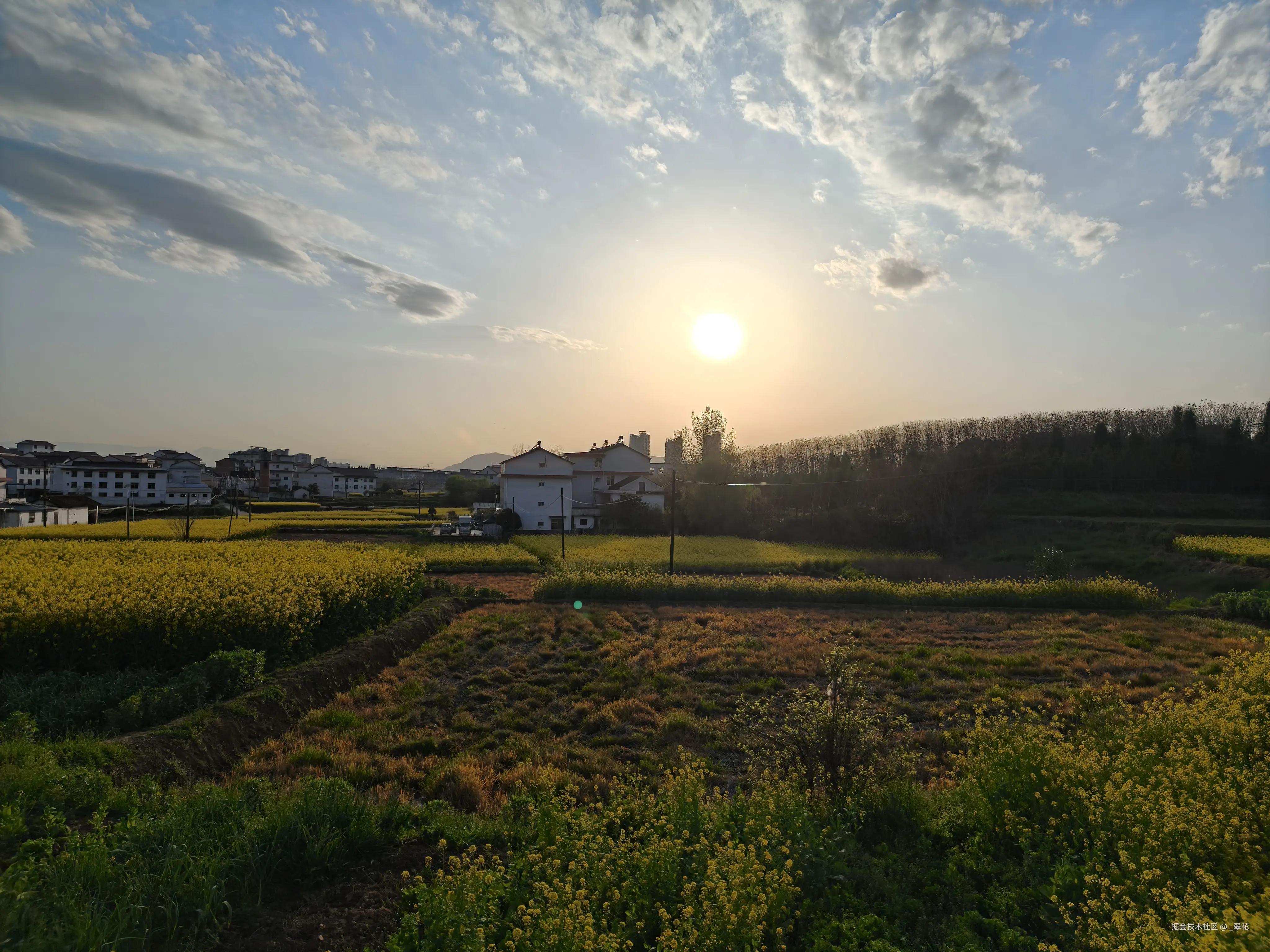 _翠花于2026-03-28 12:39发布的图片