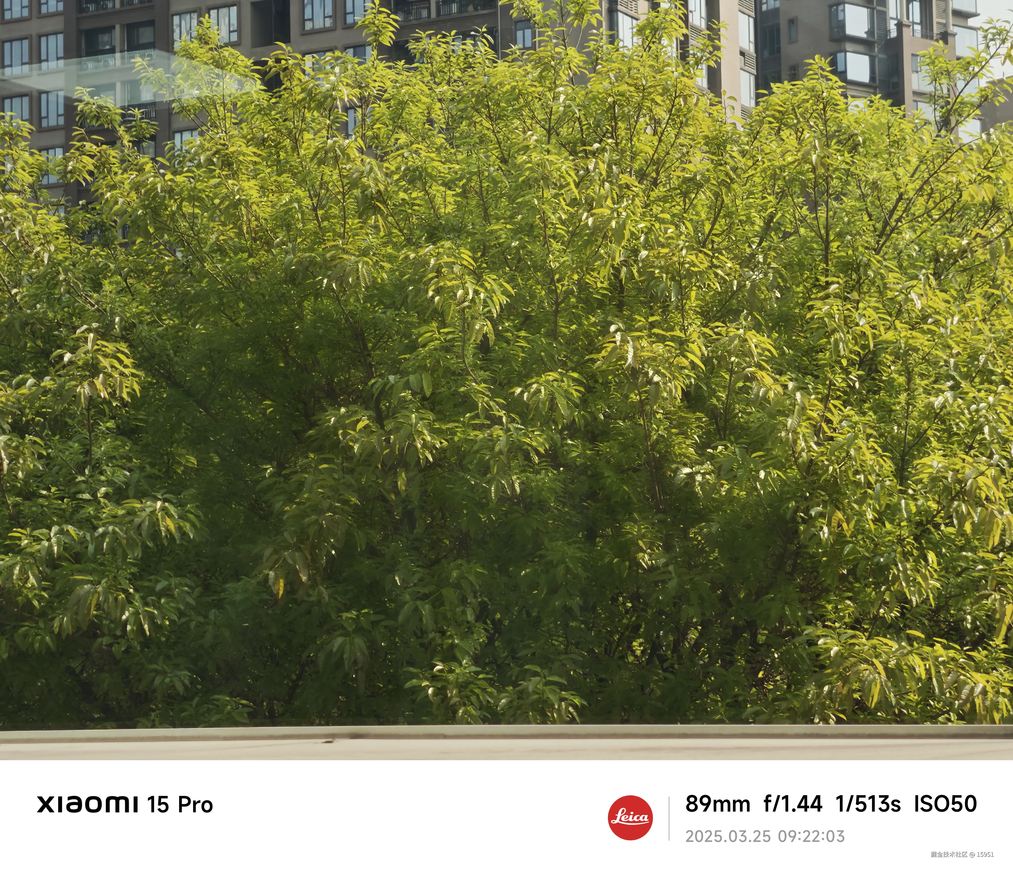 15951于2025-03-25 09:24发布的图片