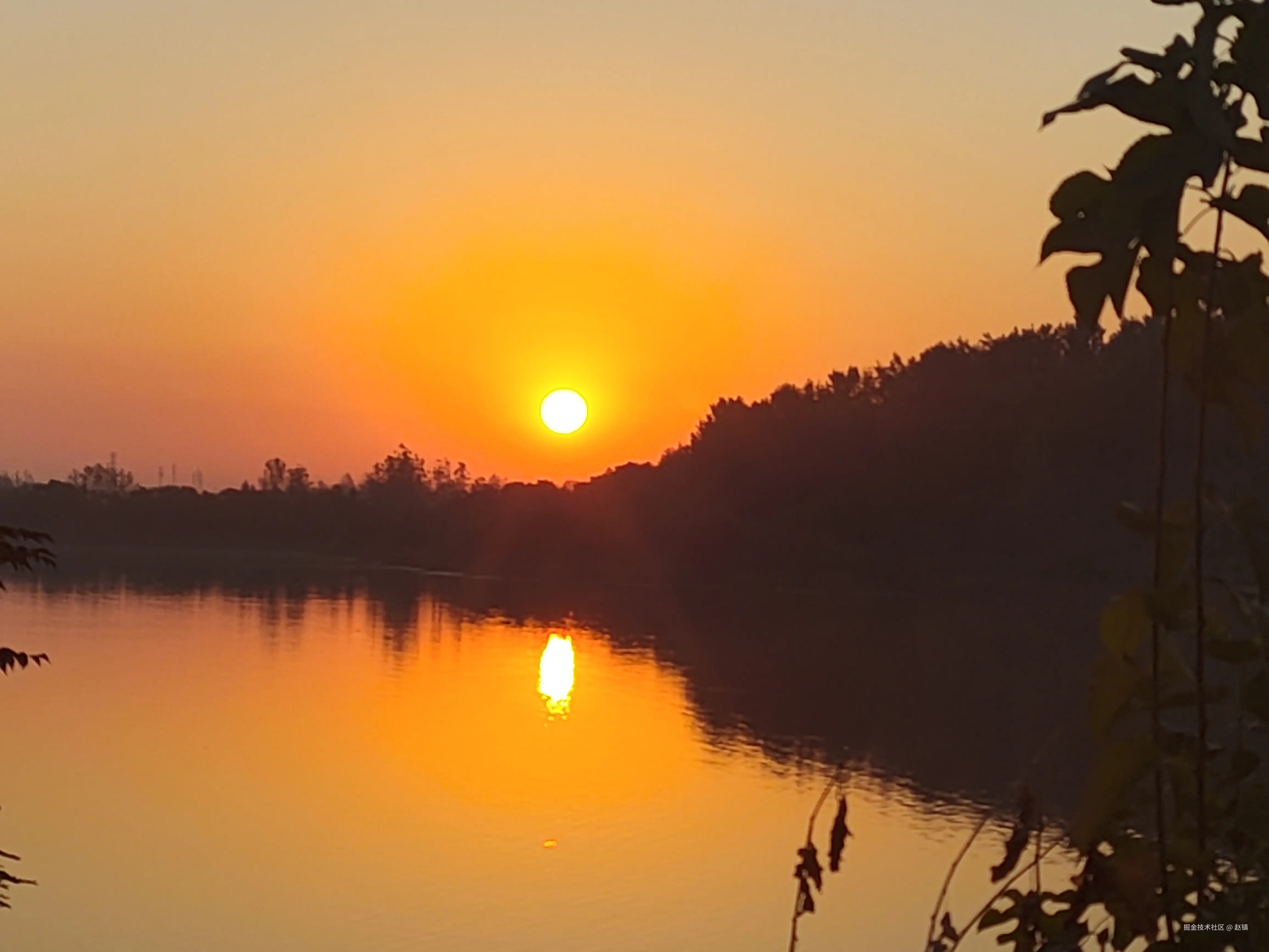 赵镇于2024-10-08 14:22发布的图片