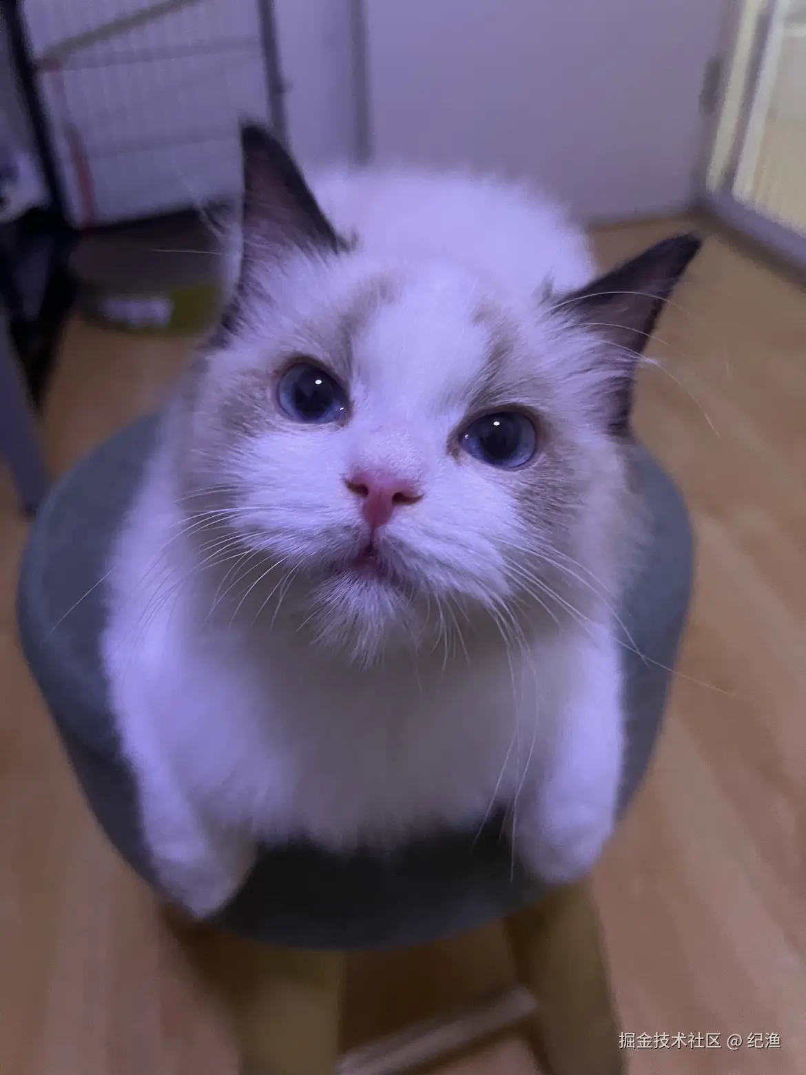 纪渔于2024-10-25 15:15发布的图片