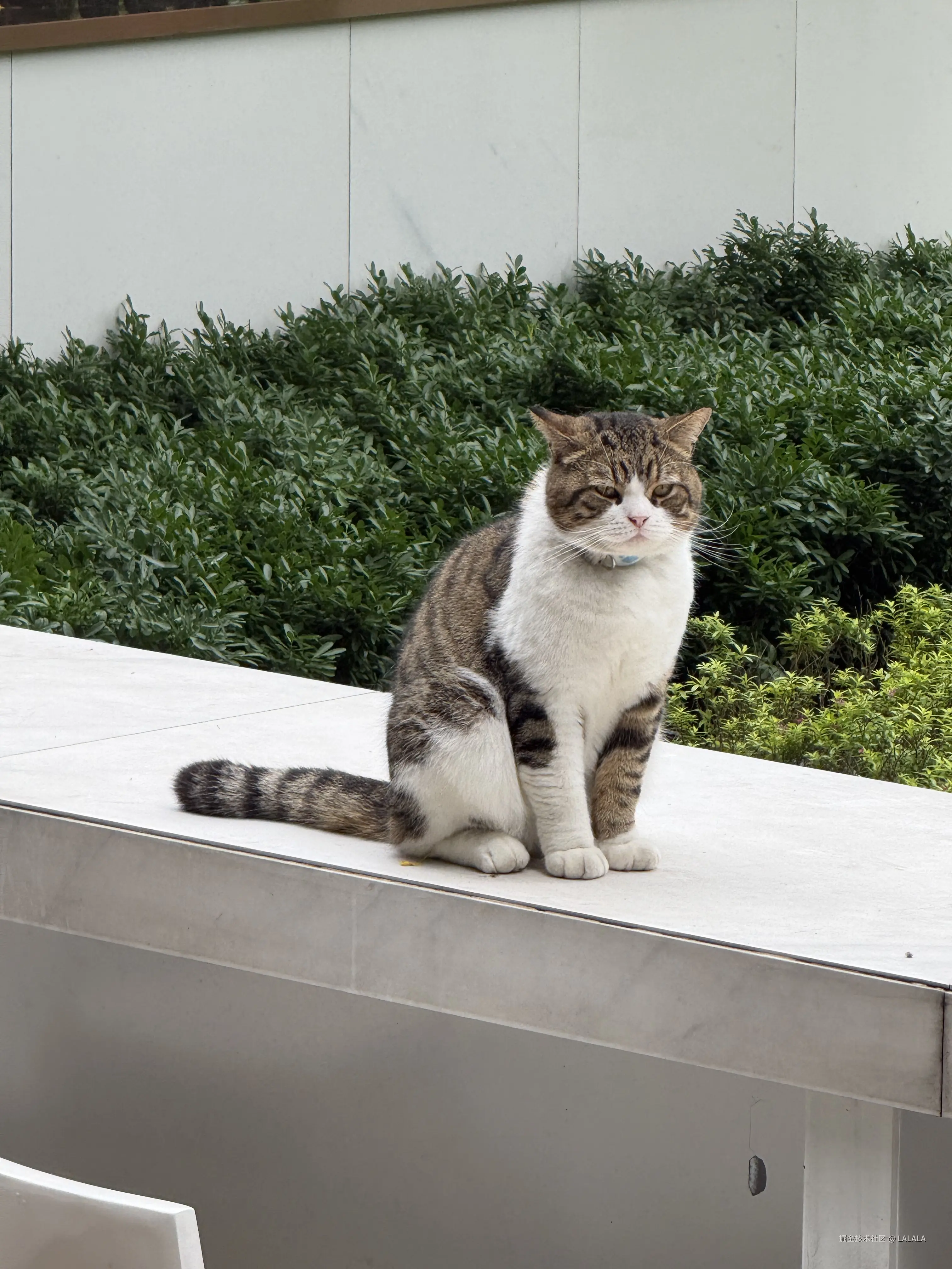 LALALA于2026-04-29 16:16发布的图片