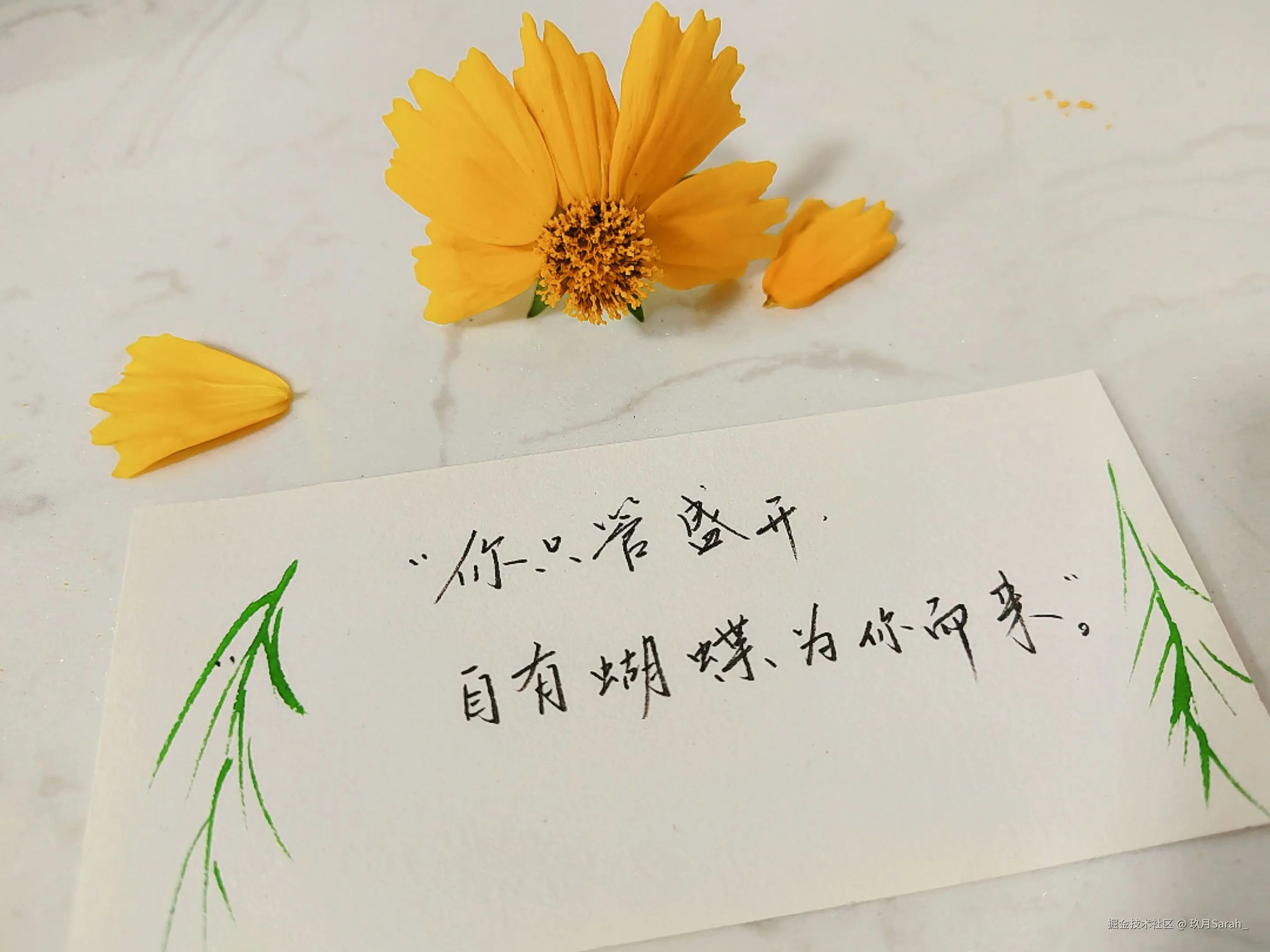 玖月Sarah_于2025-05-28 08:33发布的图片