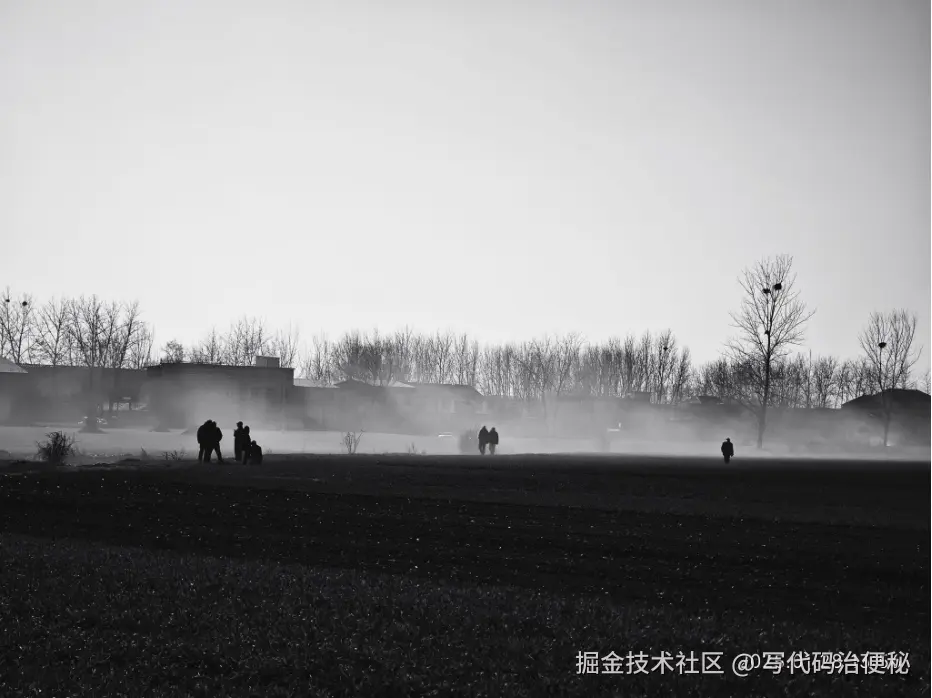 写代码治便秘于2025-05-09 14:43发布的图片