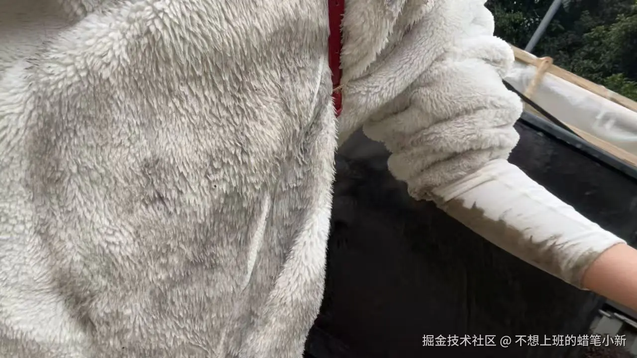 不想上班的蜡笔小新于2025-11-04 20:58发布的图片