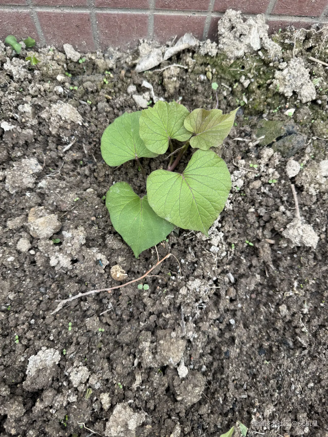 天机星于2024-11-27 10:37发布的图片