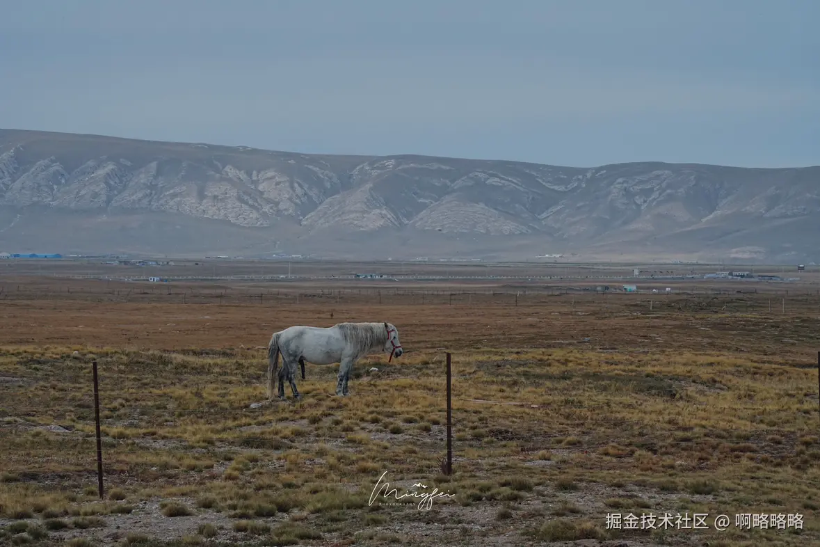 啊略略略于2025-11-15 15:05发布的图片