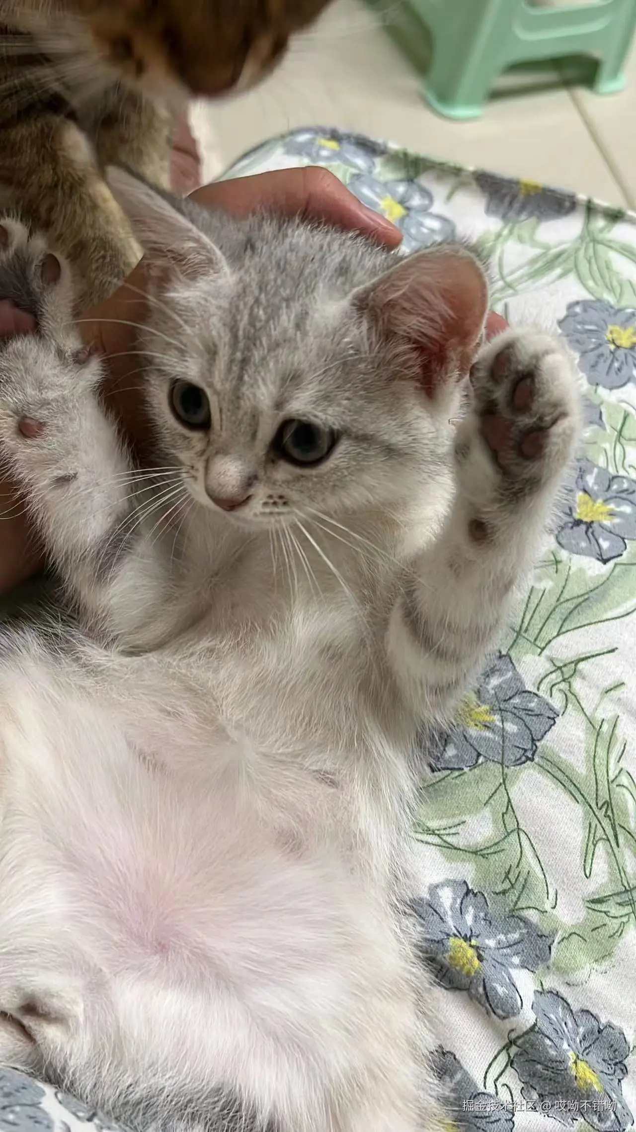 哎呦不错呦于2024-08-08 03:09发布的图片