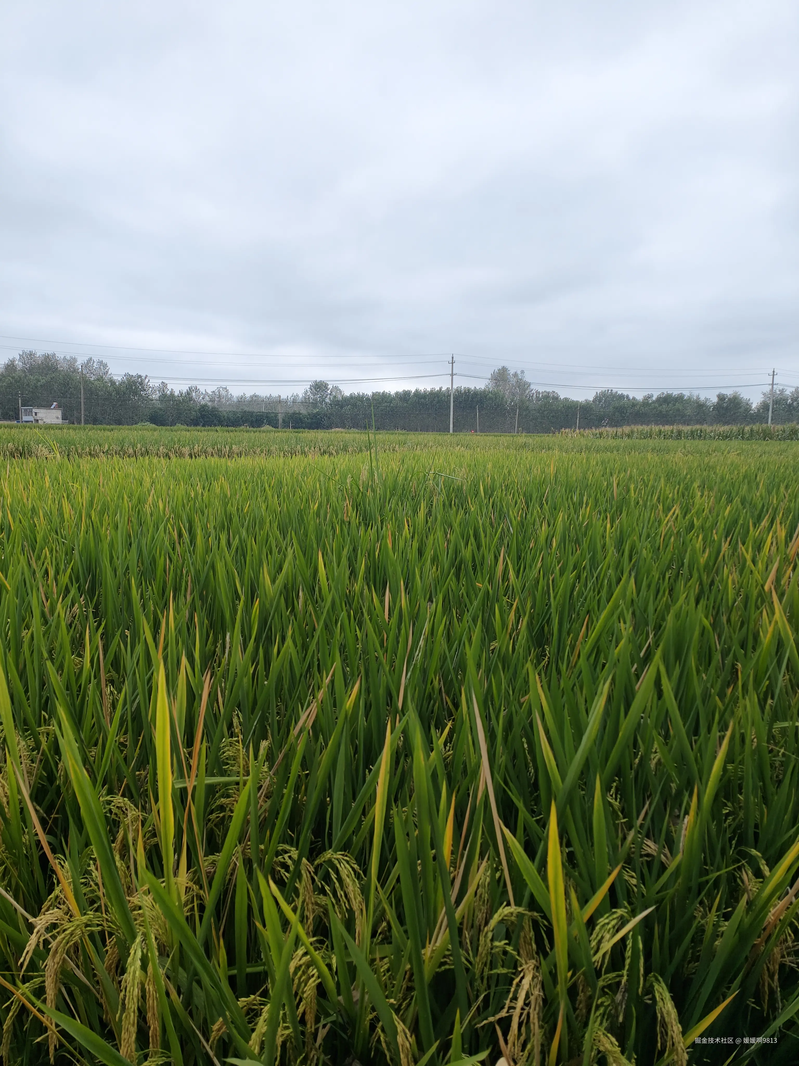 媛媛啊9813于2025-10-02 17:28发布的图片