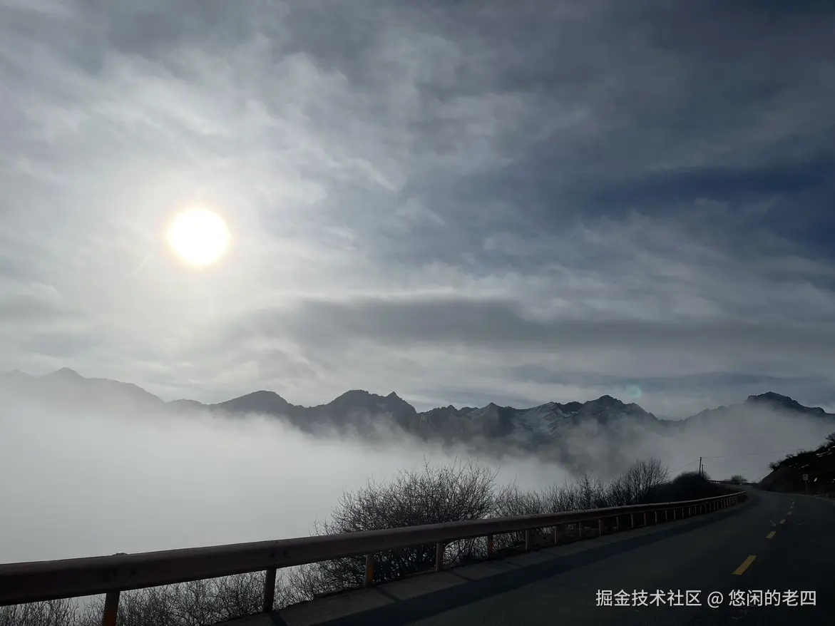 悠闲的老四于2025-01-21 18:00发布的图片