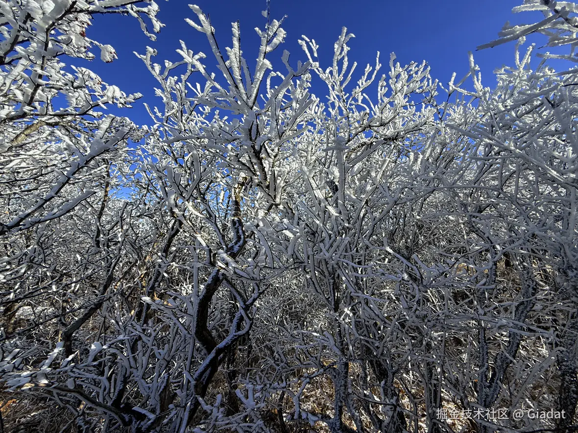 Giadat于2025-12-16 14:17发布的图片