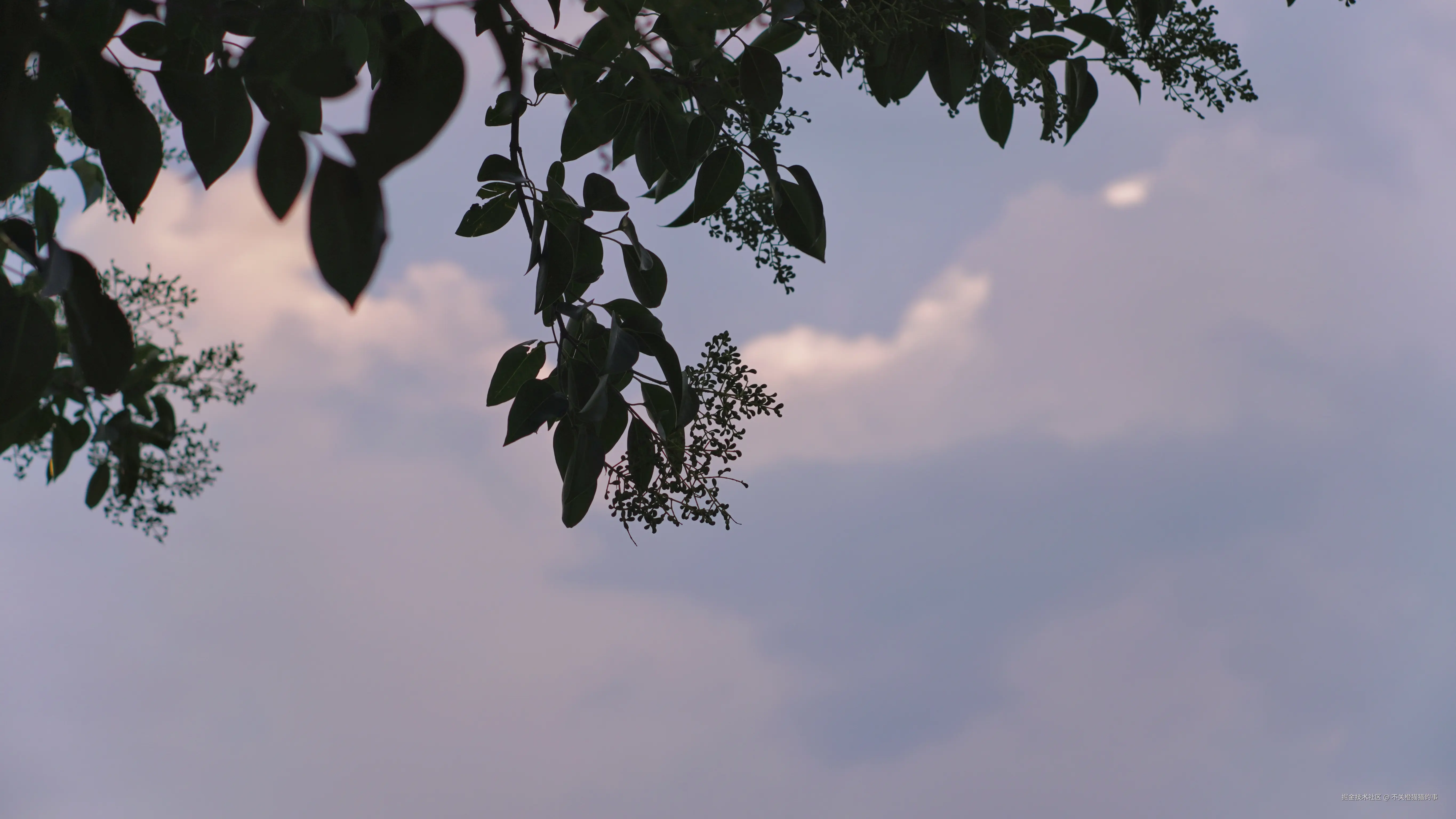 不关橙猫猫的事于2024-08-12 09:42发布的图片