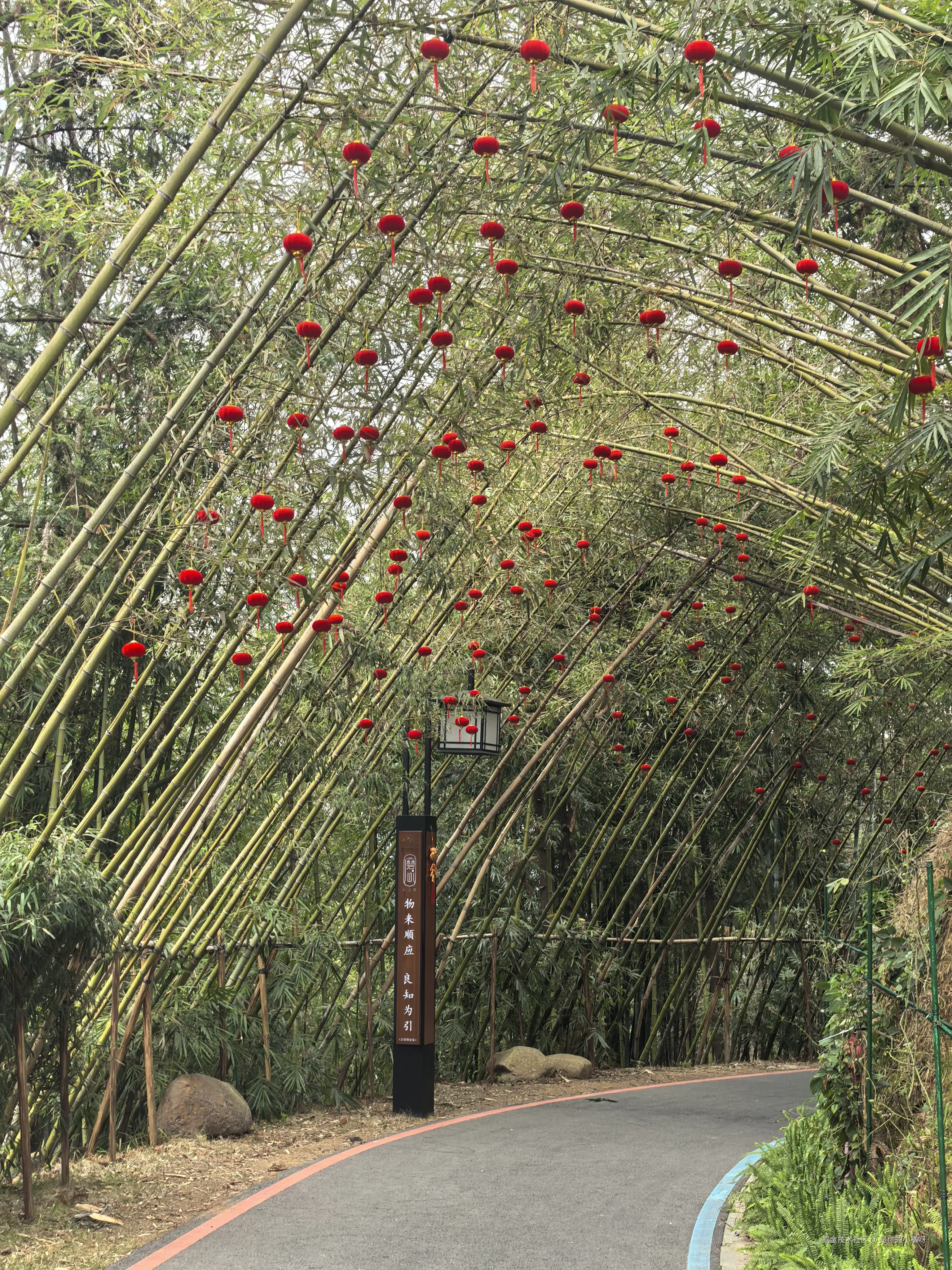 是你的小橘呀于2026-02-22 21:10发布的图片