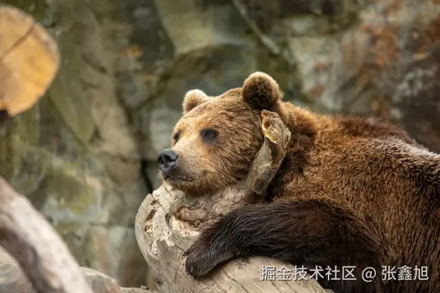 张鑫旭于2024-07-29 15:10发布的图片