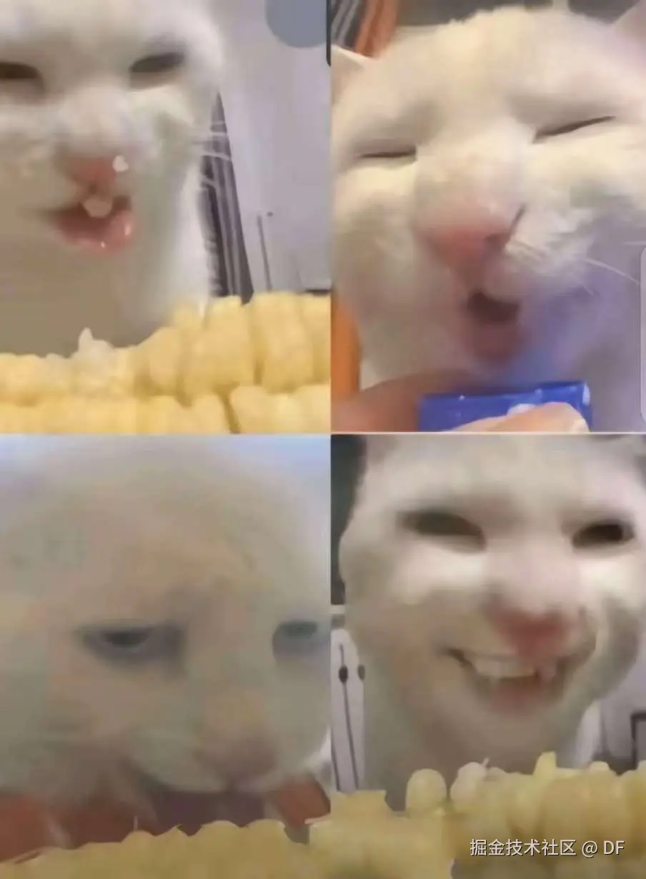 DF于2025-09-24 15:57发布的图片