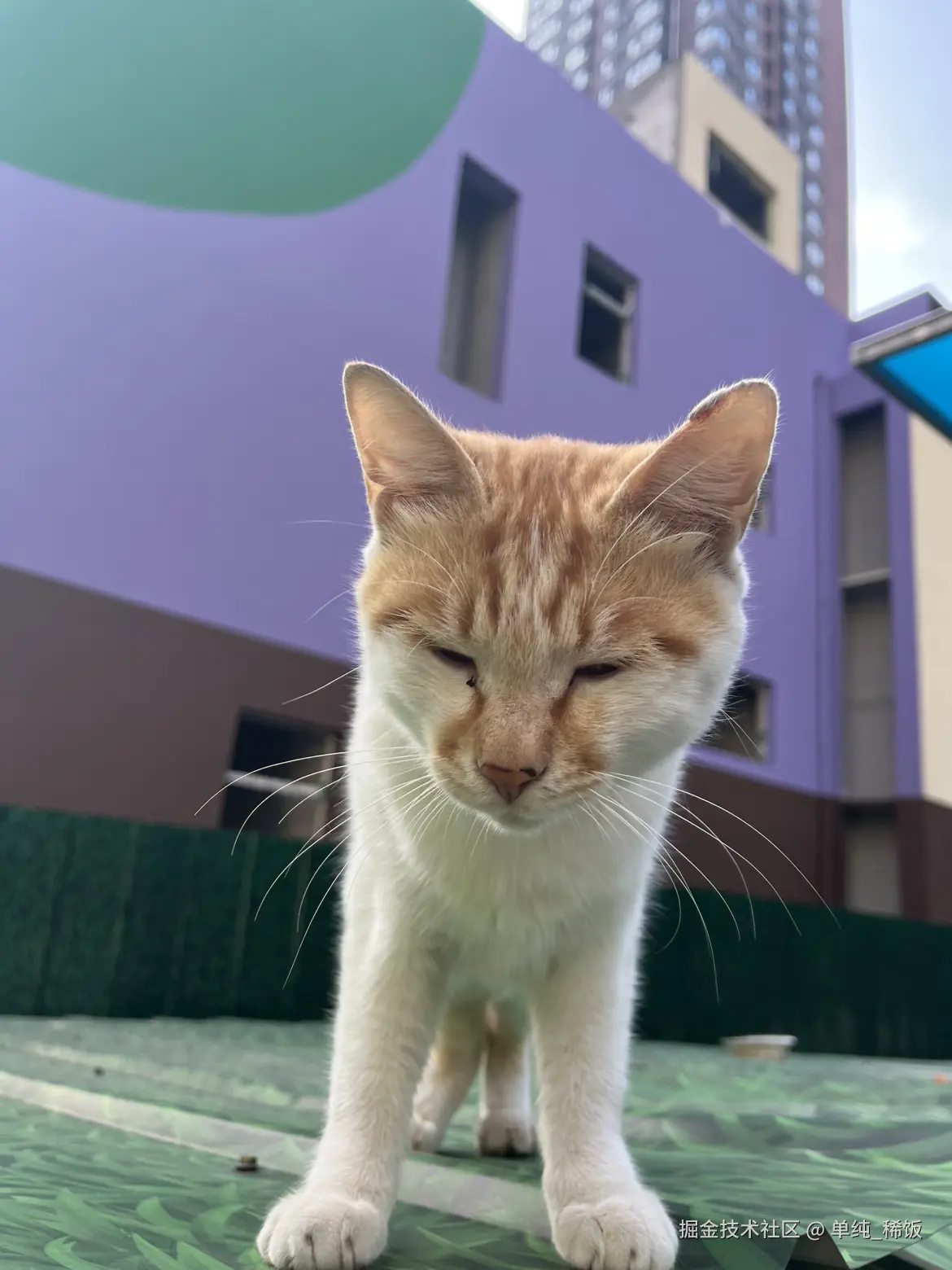 单纯_稀饭于2025-09-24 09:12发布的图片