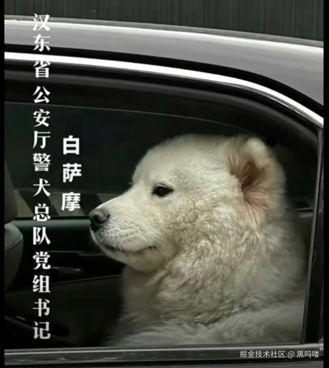 黑吗喽于2025-12-29 09:21发布的图片