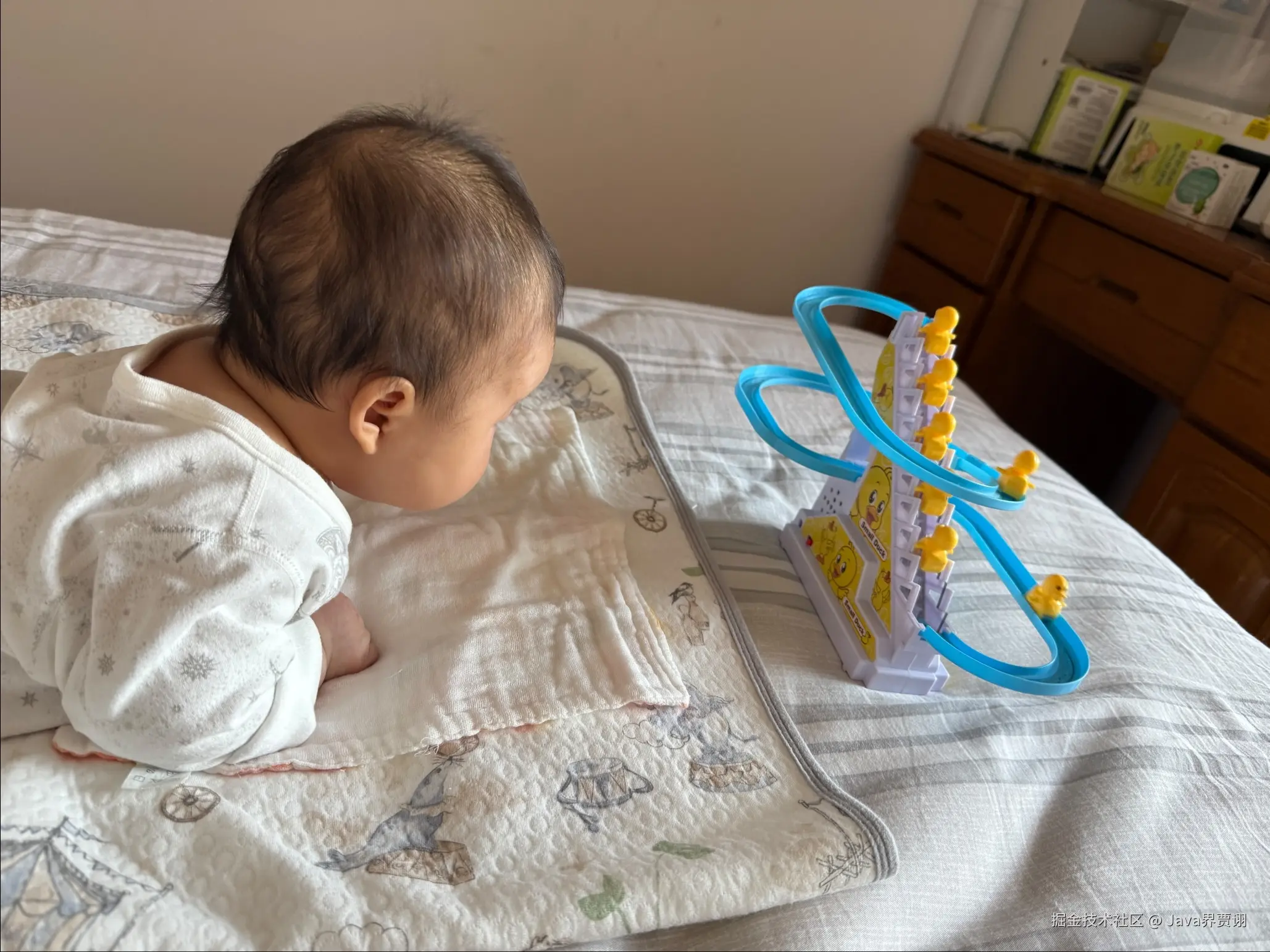 Java界贾诩于2025-03-21 10:15发布的图片