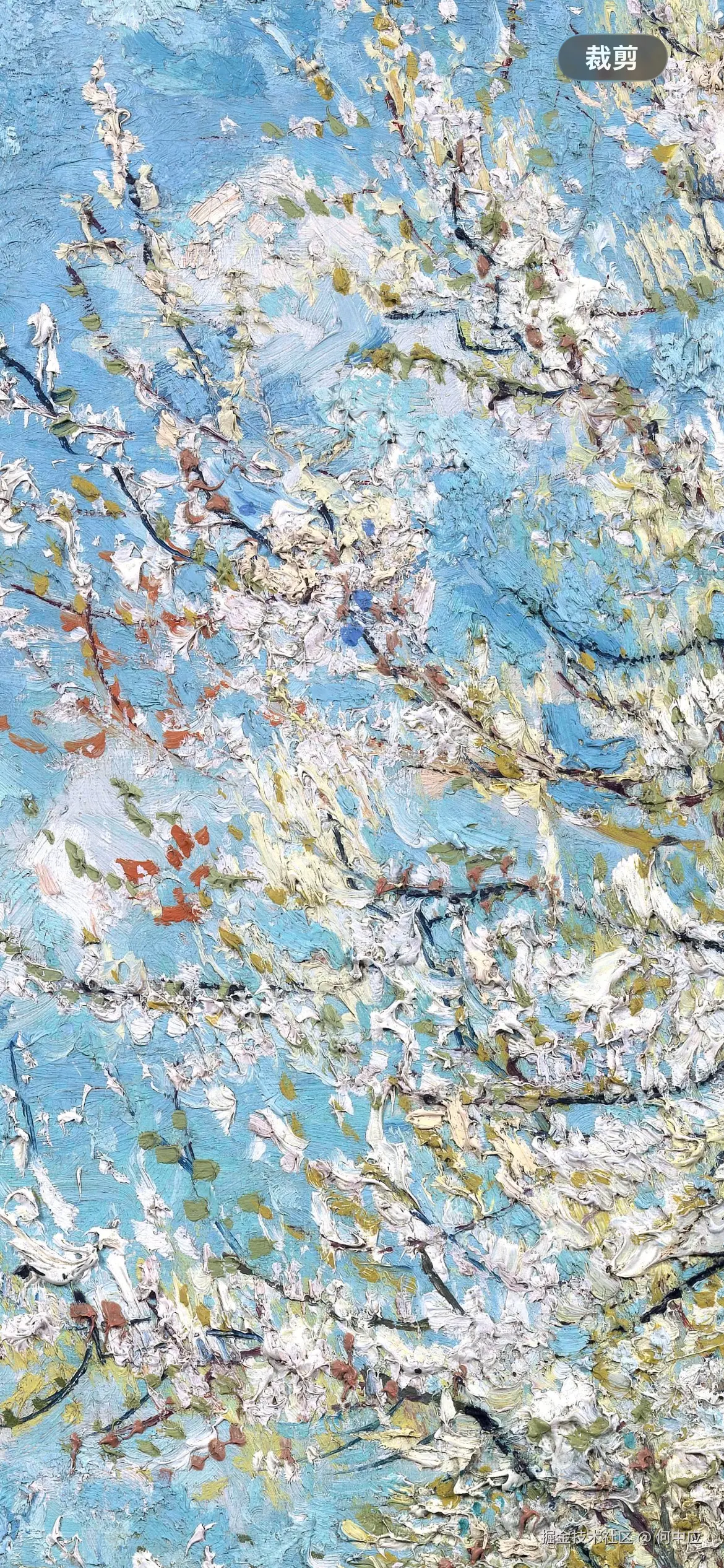 何中应于2026-03-14 13:36发布的图片