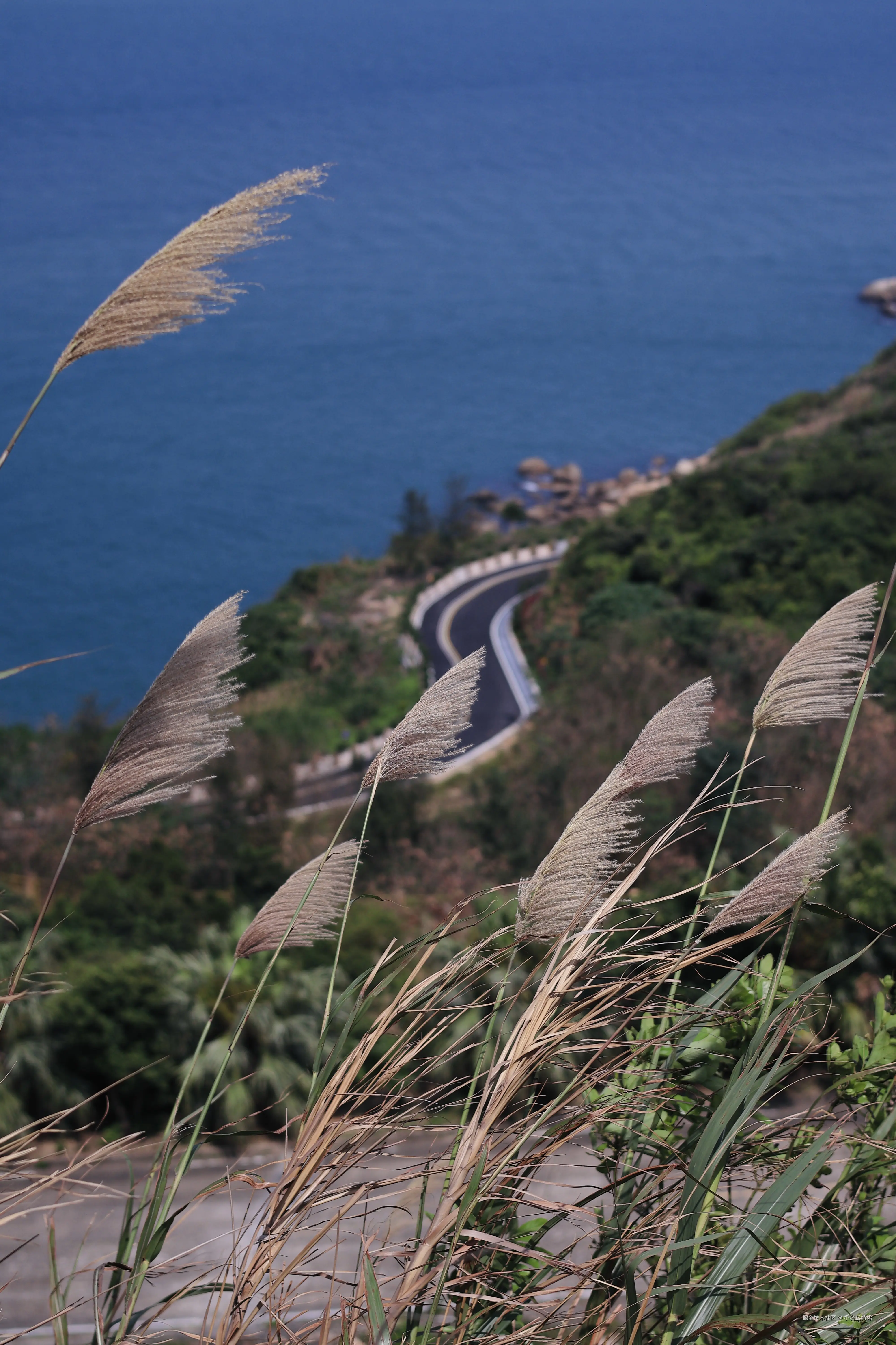 小名饭特稀于2025-05-12 11:14发布的图片