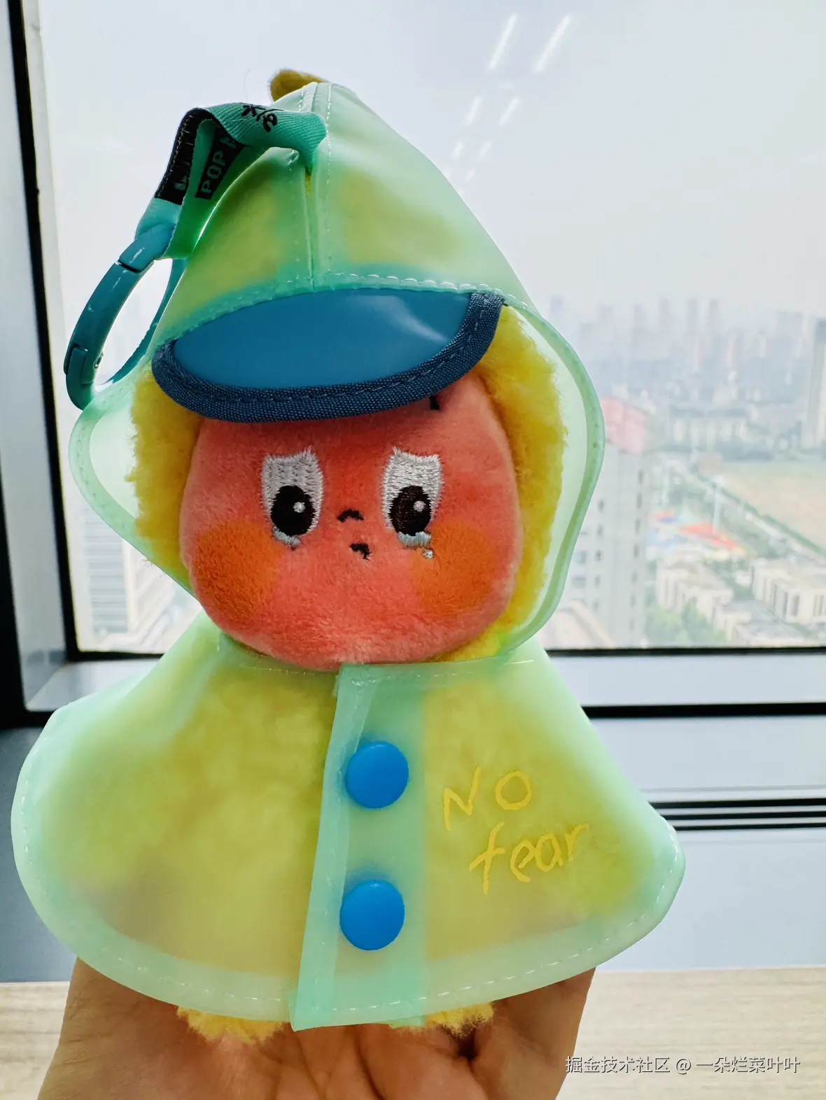 一朵烂菜叶叶于2025-09-05 12:35发布的图片