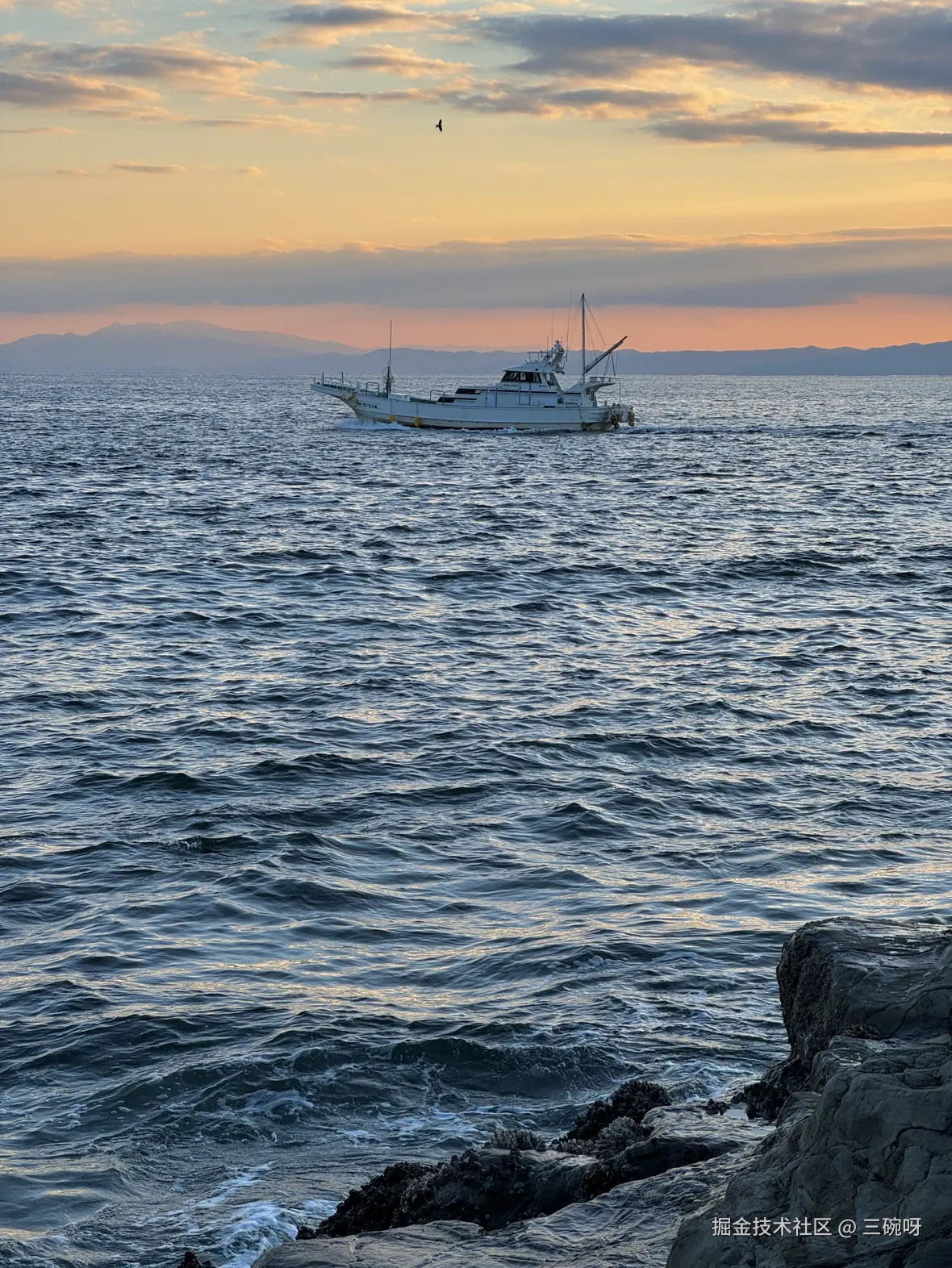 三碗呀于2025-03-31 13:46发布的图片