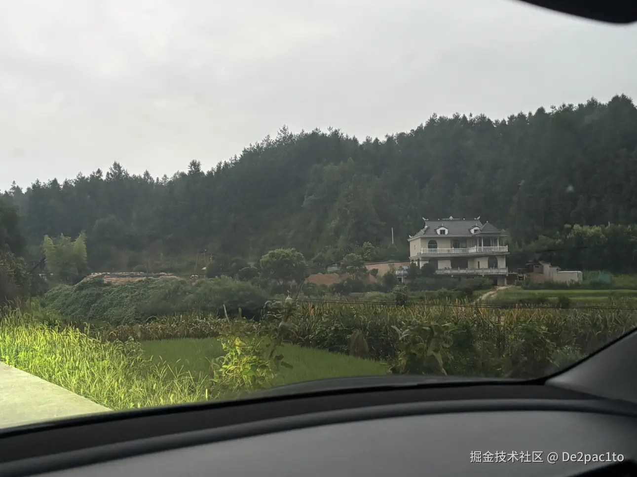 De2pac1to于2025-08-11 16:00发布的图片