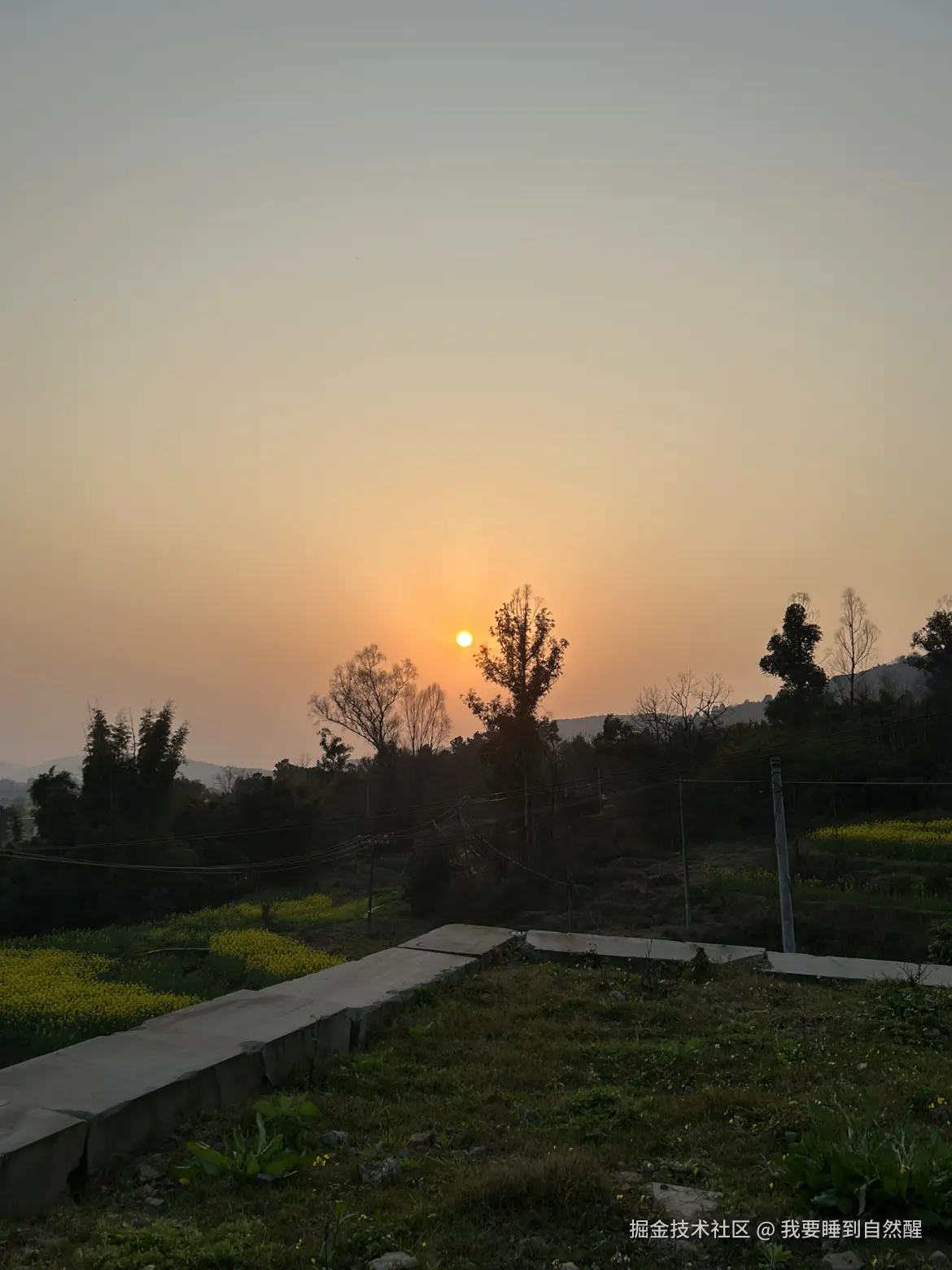 我要睡到自然醒于2026-02-16 23:28发布的图片