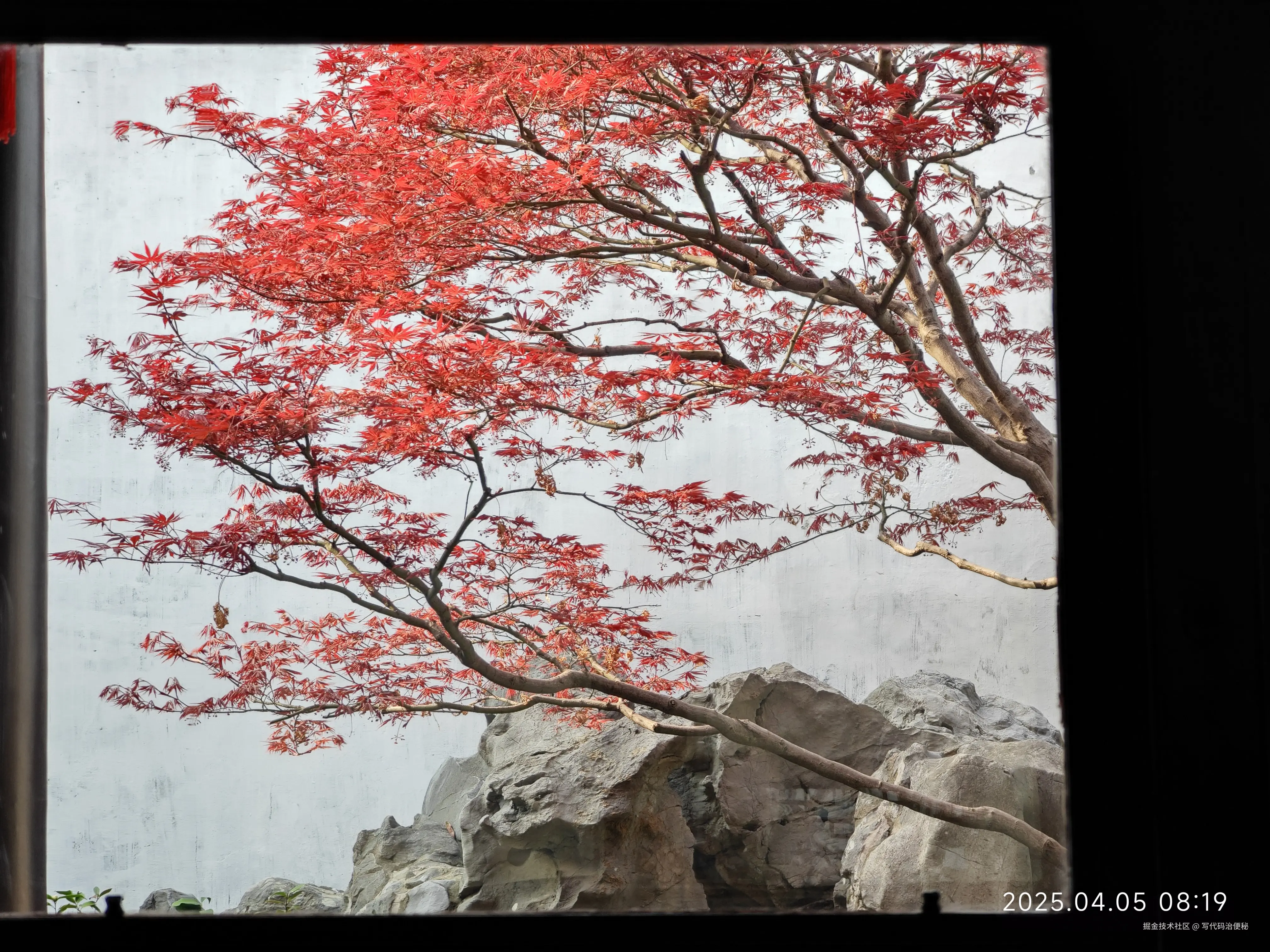 写代码治便秘于2025-04-07 10:16发布的图片