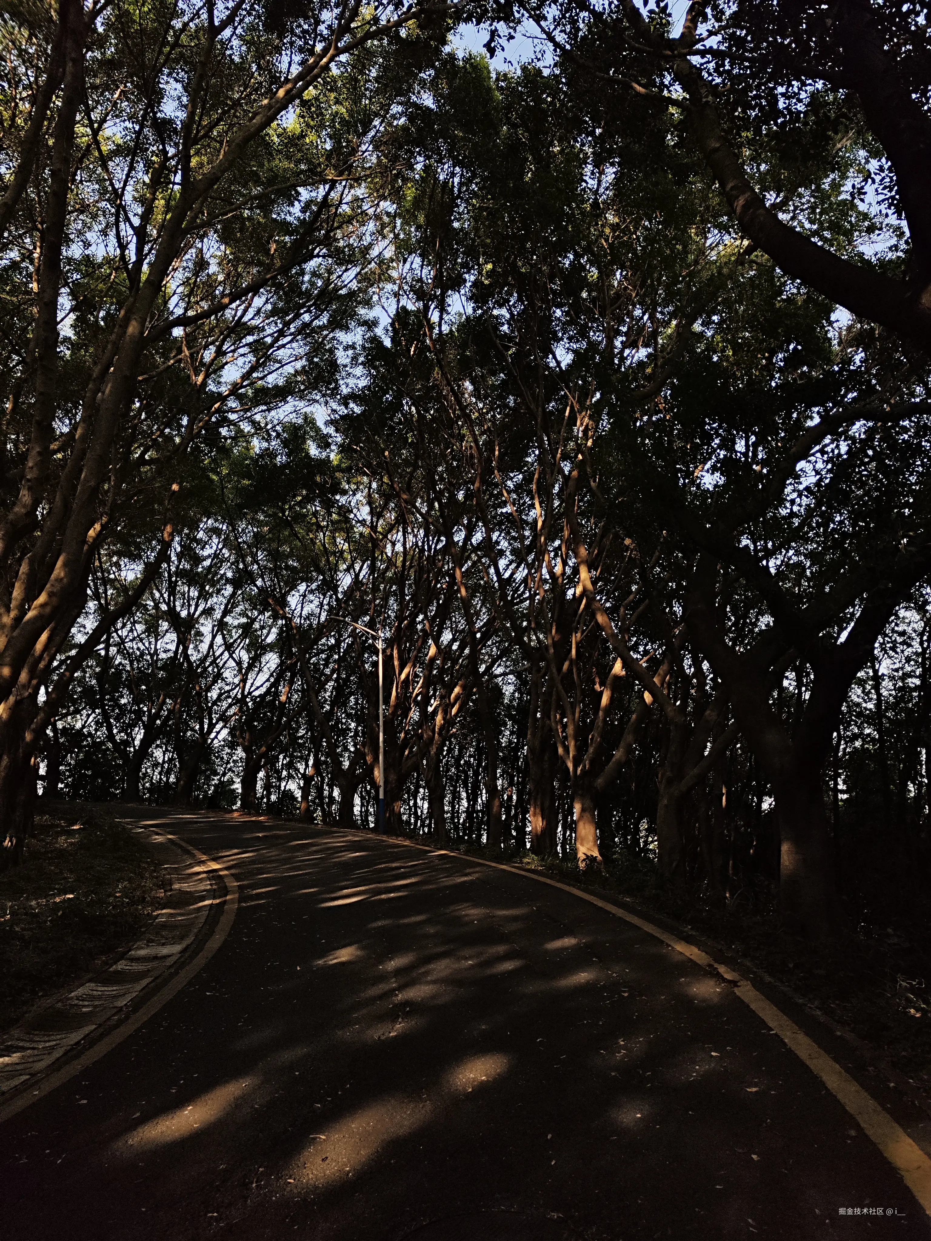 i__于2025-12-30 13:45发布的图片