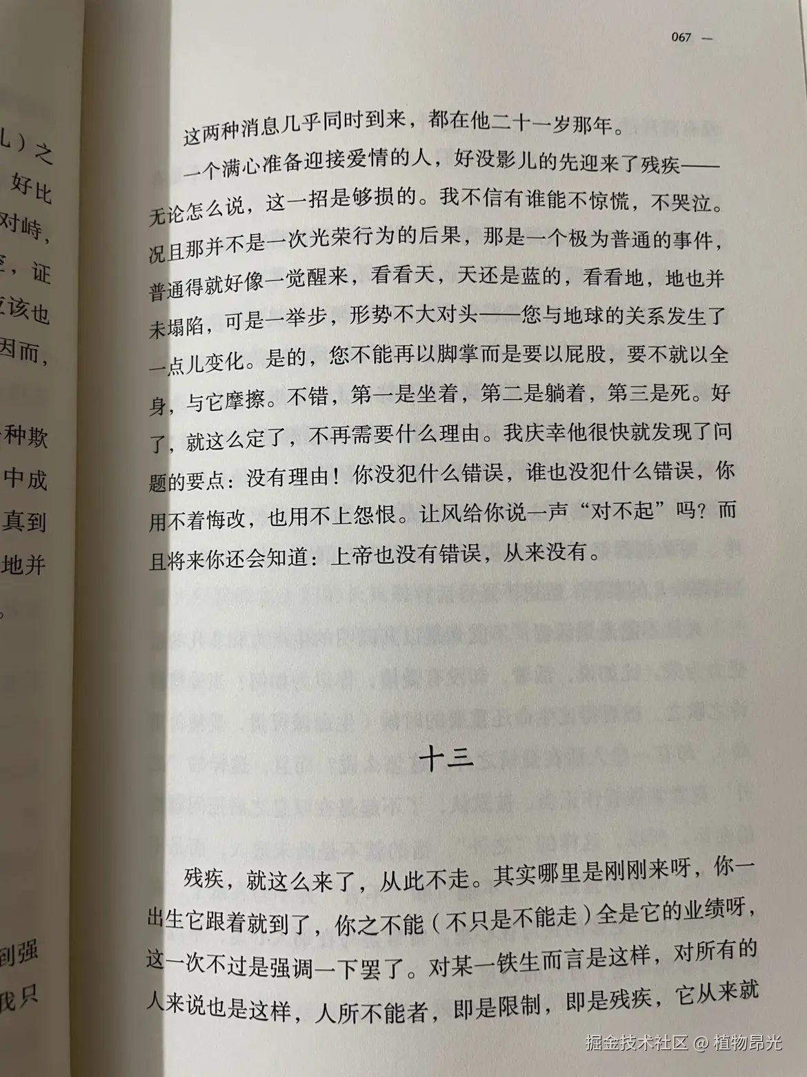 植物昂光于2026-05-11 20:00发布的图片