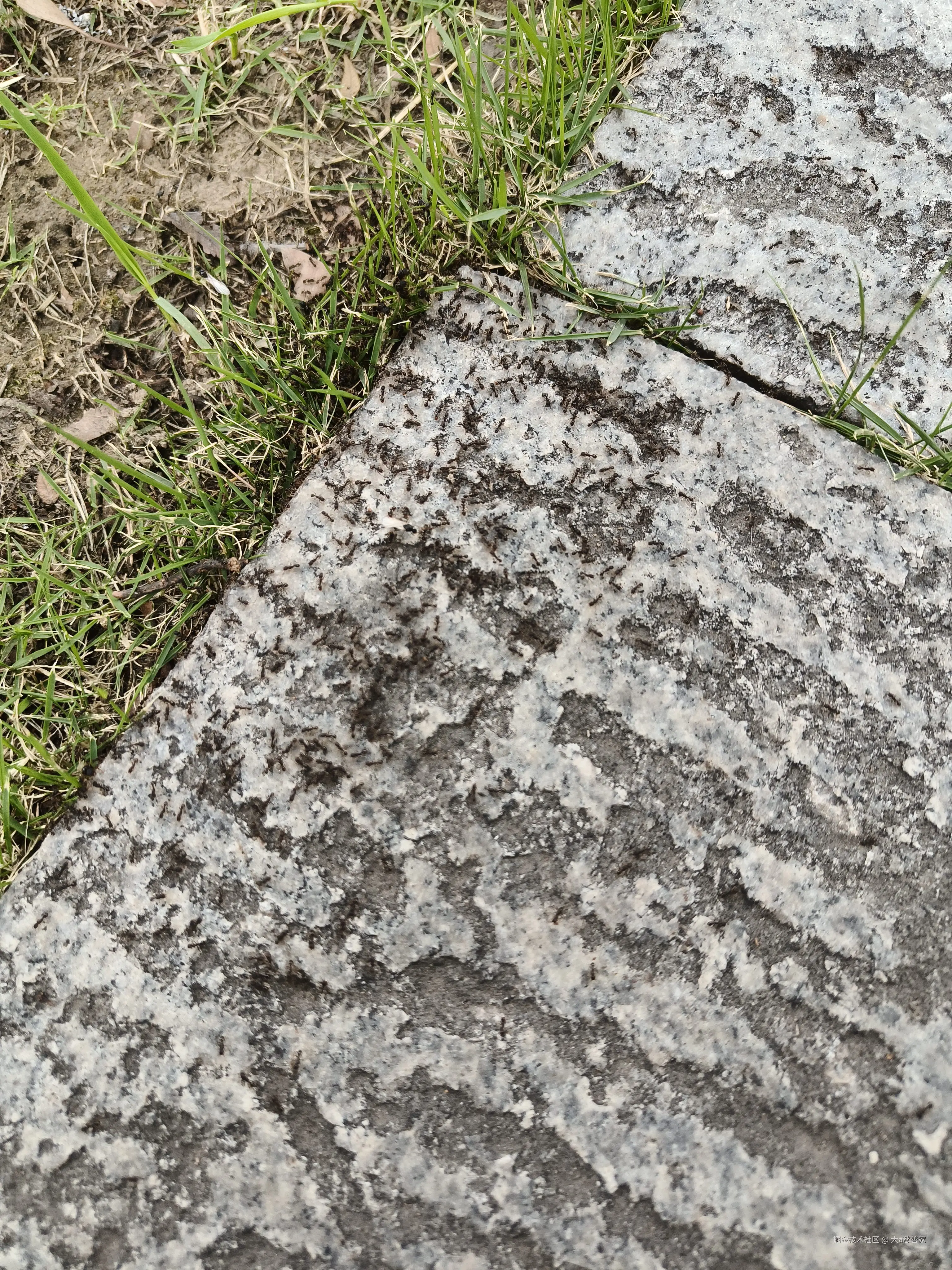 大a慈善家于2025-05-15 13:51发布的图片