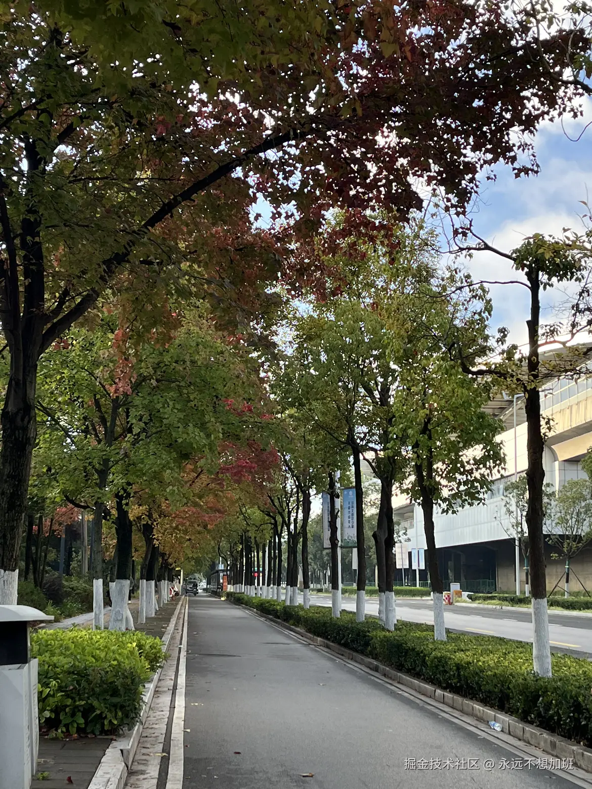 永远不想加班于2025-11-12 20:30发布的图片