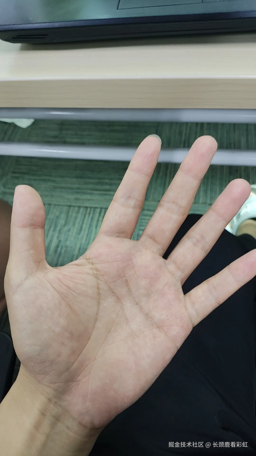 长颈鹿看彩虹于2024-07-26 15:09发布的图片