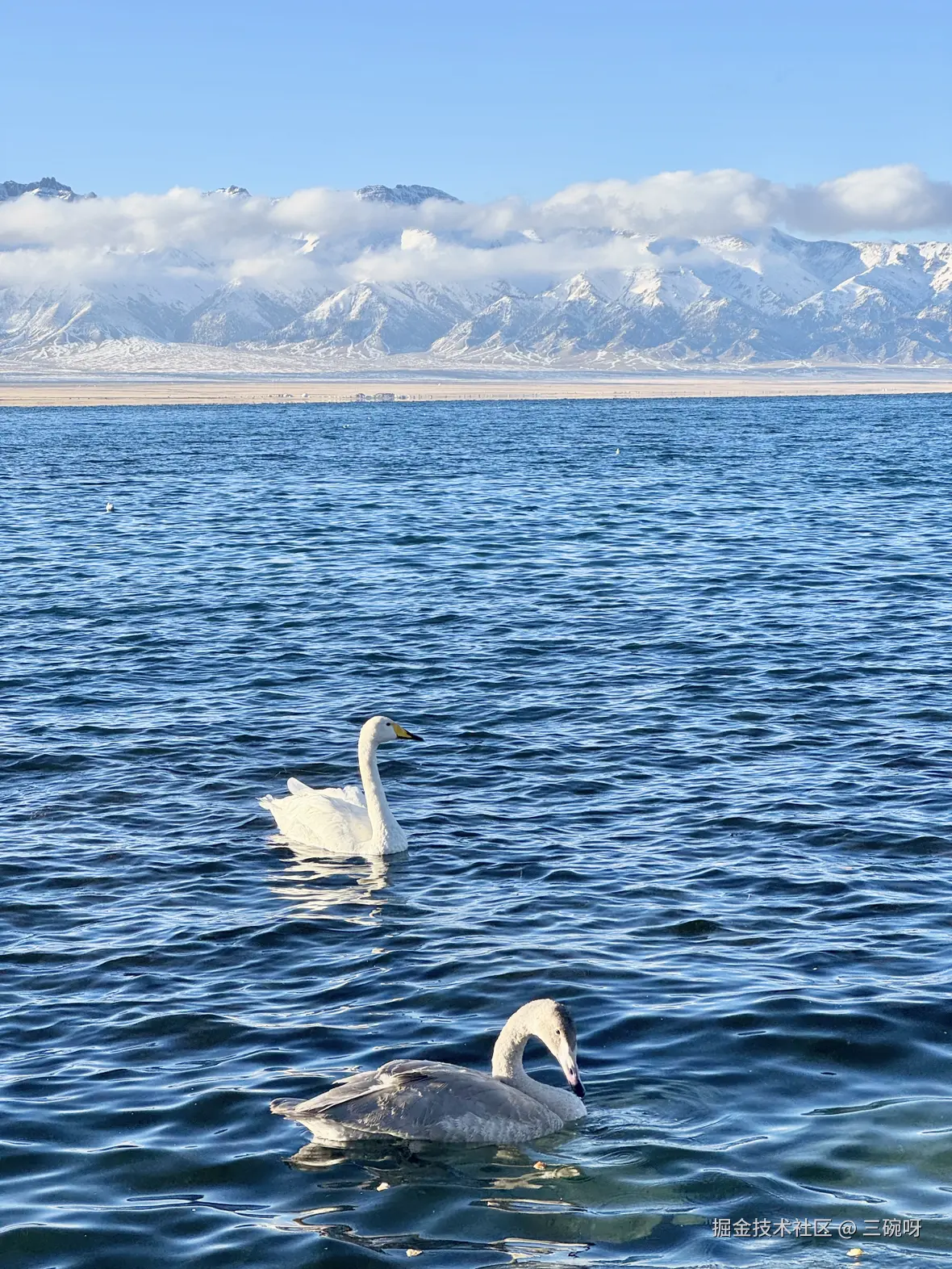 三碗呀于2025-10-23 02:38发布的图片