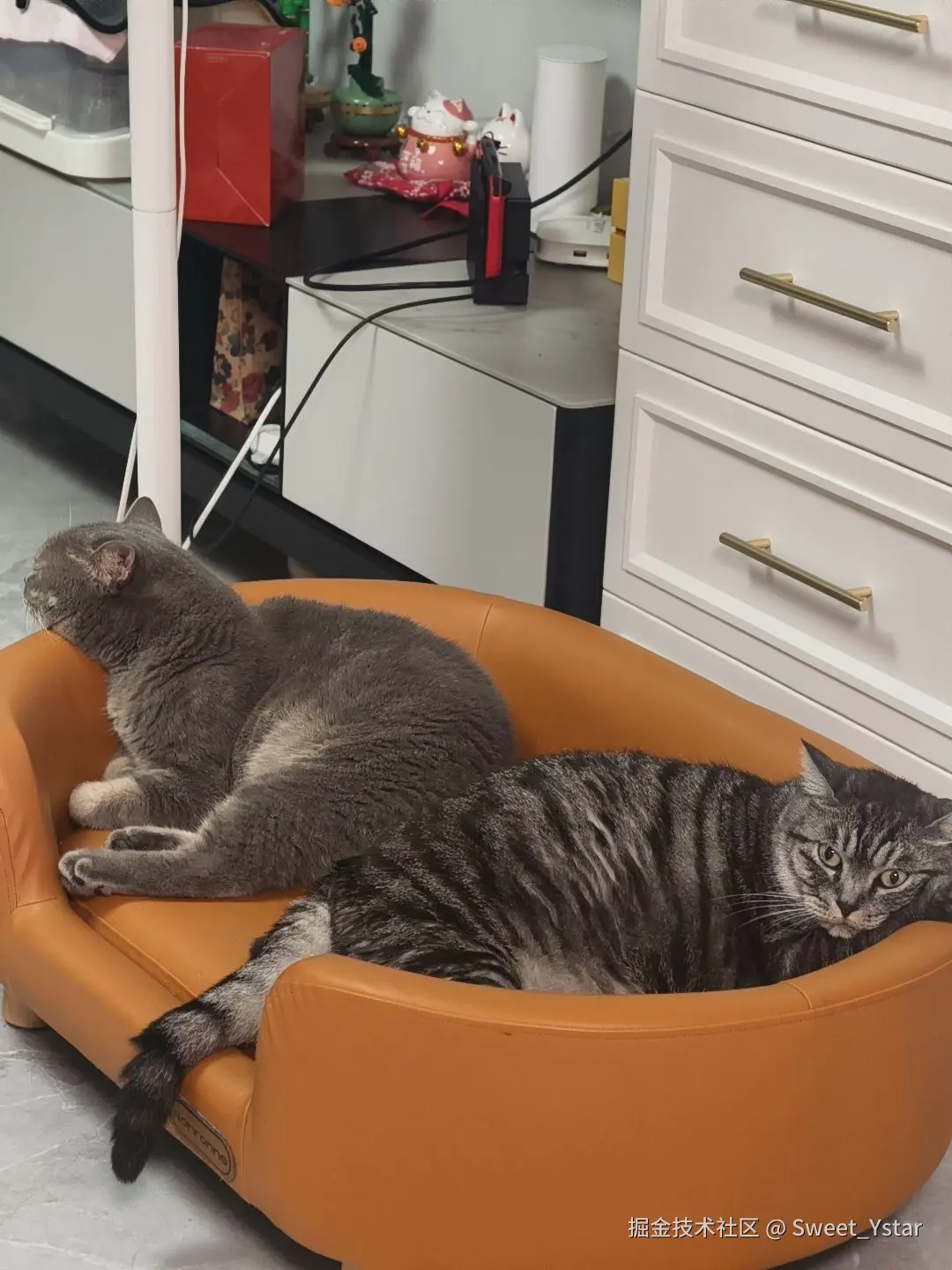 Sweet_Ystar于2026-04-09 14:48发布的图片