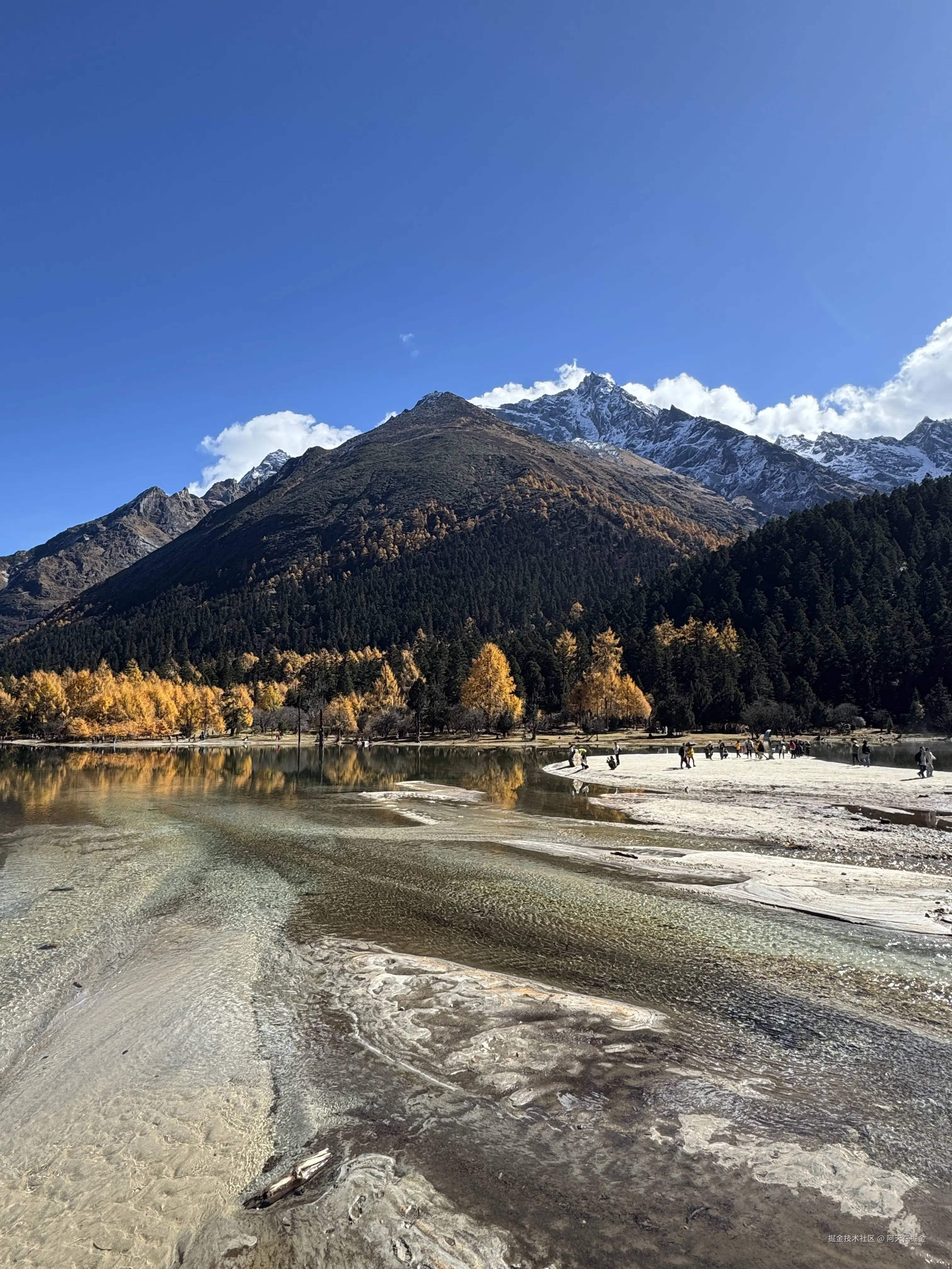 阿天在掘金于2024-11-06 15:00发布的图片