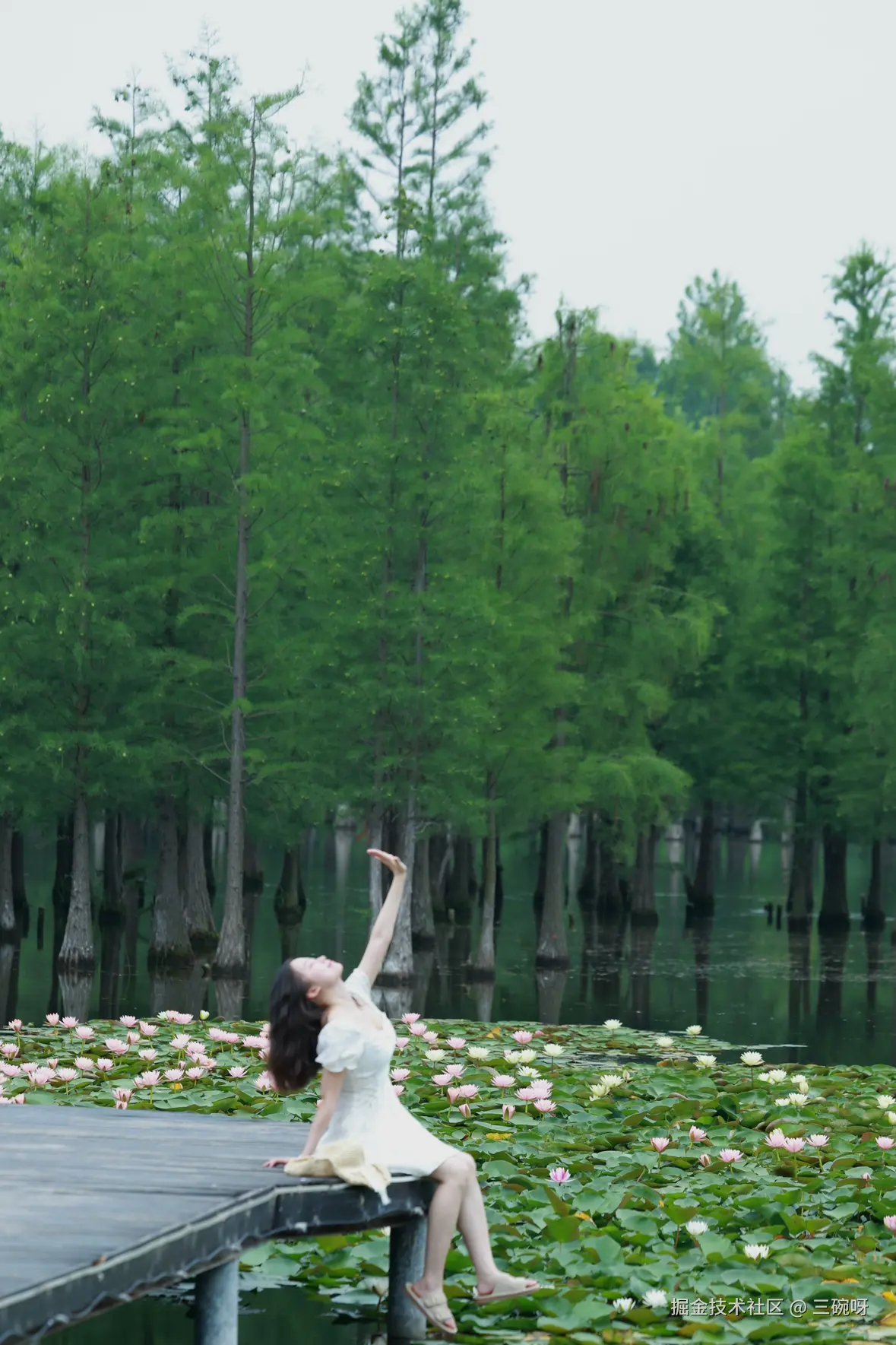 三碗呀于2025-06-16 09:28发布的图片