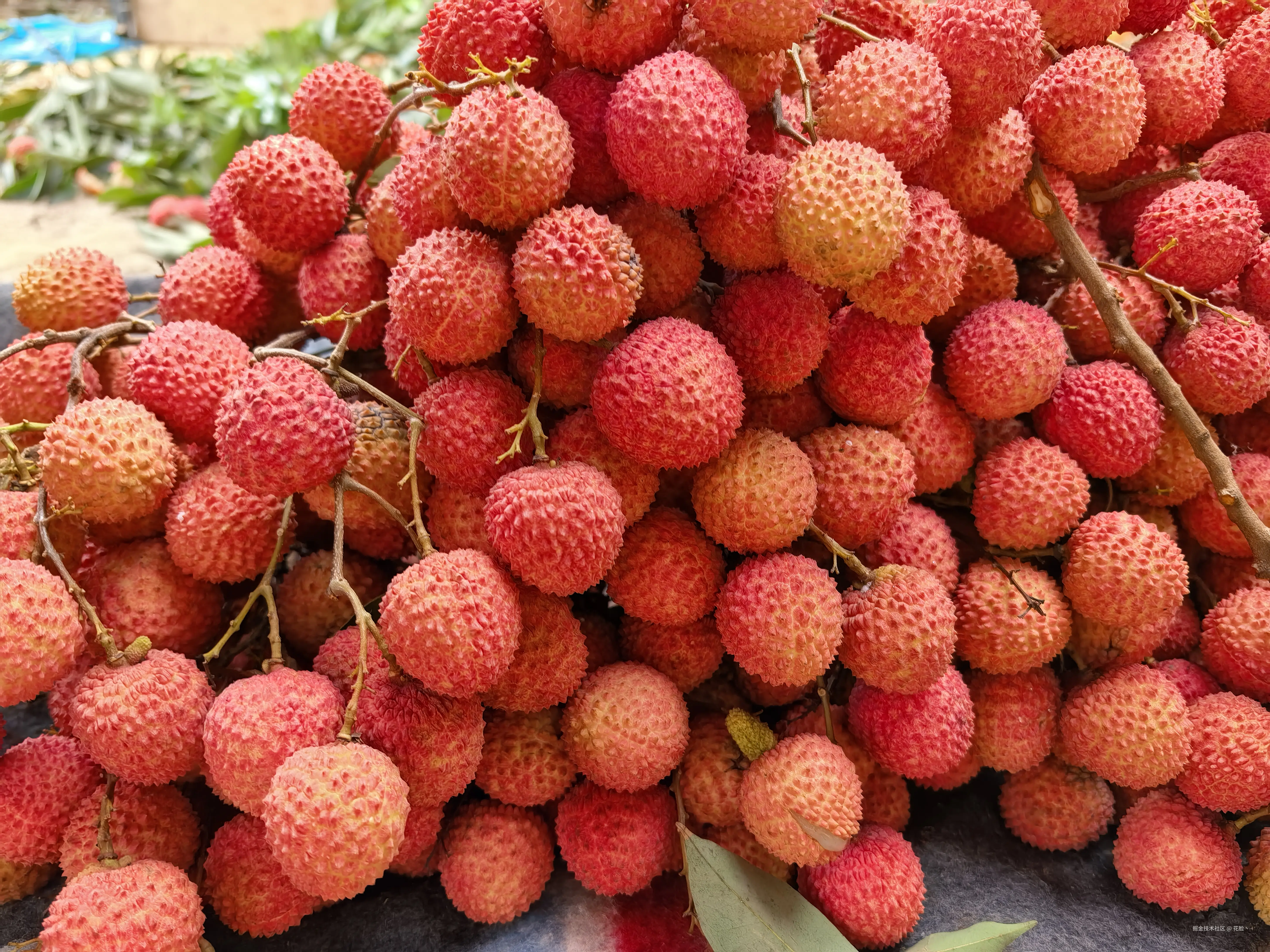 花脸丶于2025-06-07 12:30发布的图片