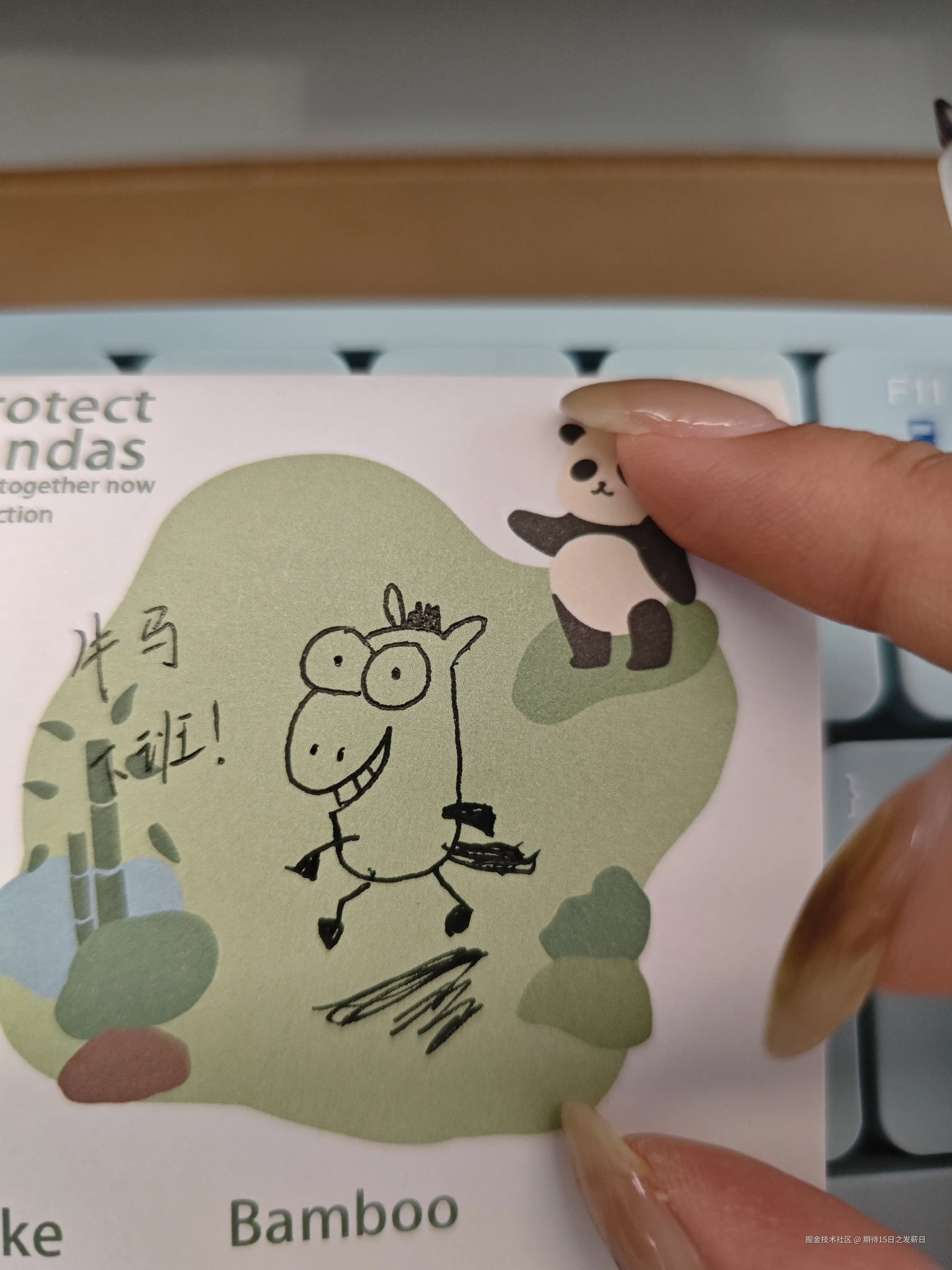 期待15日之发薪日于2025-12-09 06:37发布的图片