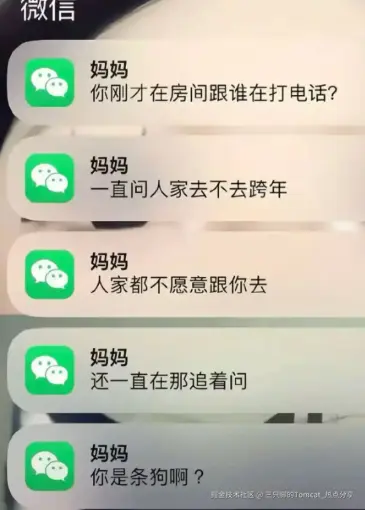 三只脚的Tomcat_热点分享于2025-12-31 16:43发布的图片