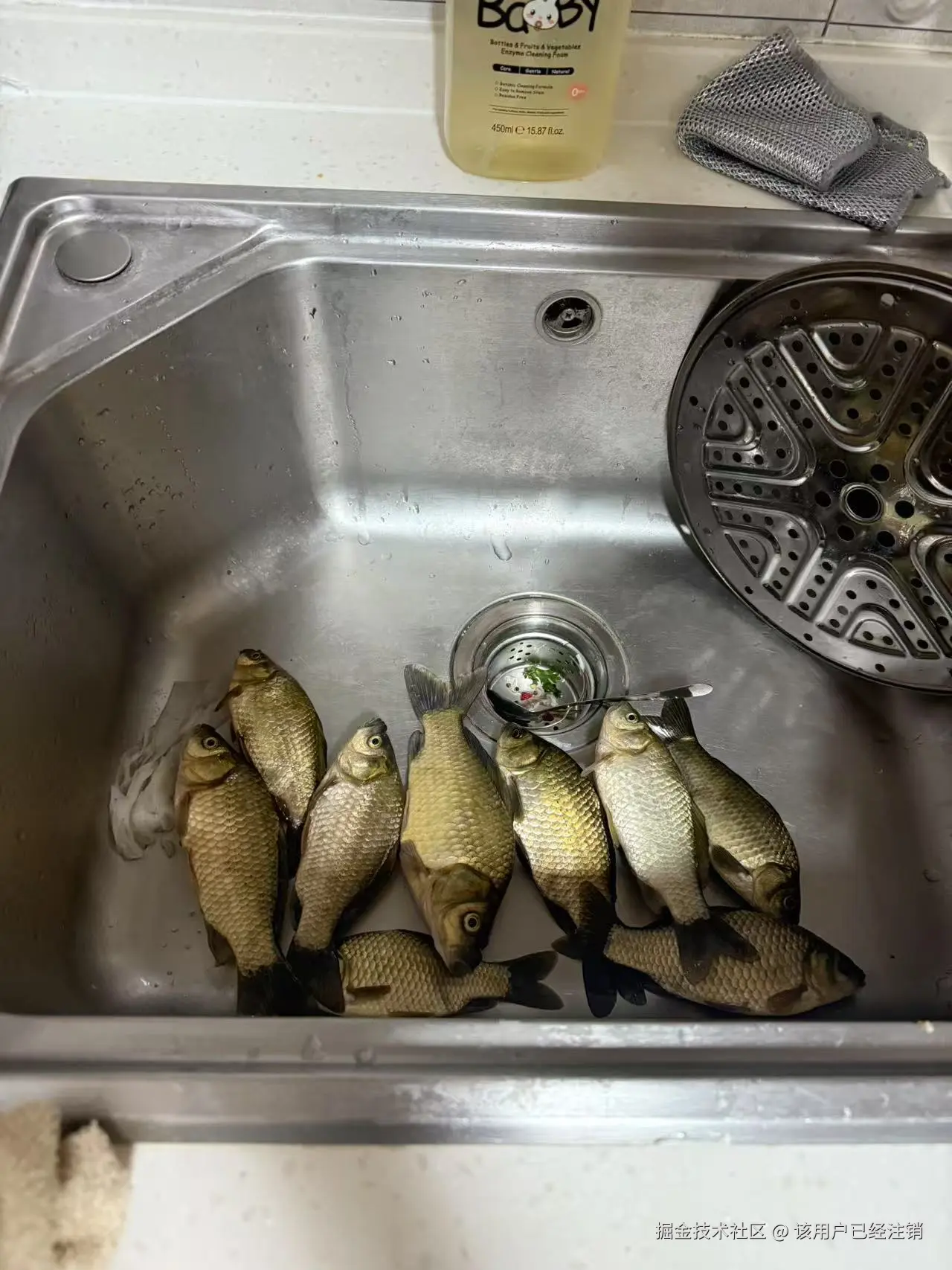 该用户已经注销于2025-06-30 10:28发布的图片