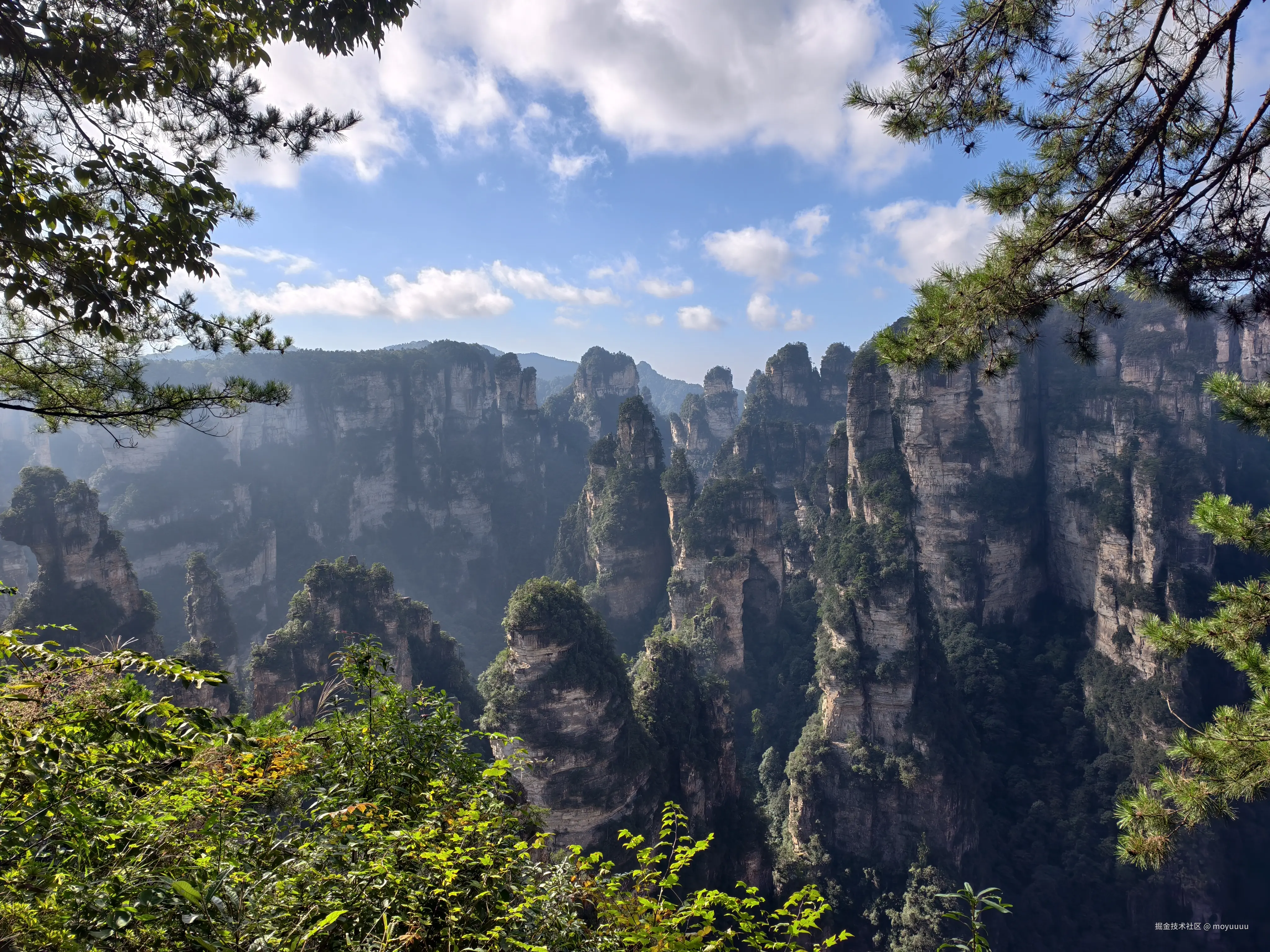 moyuuuu于2025-10-09 10:09发布的图片