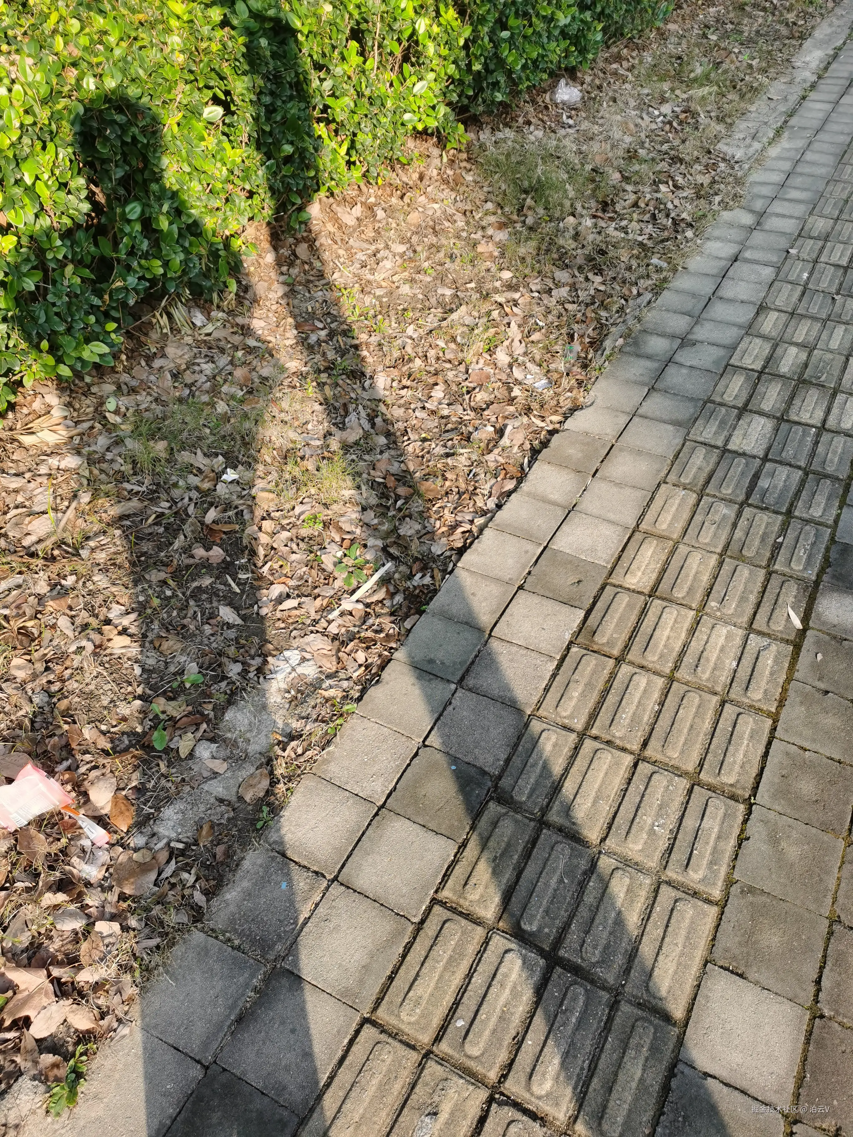 泊云V于2024-12-18 08:42发布的图片