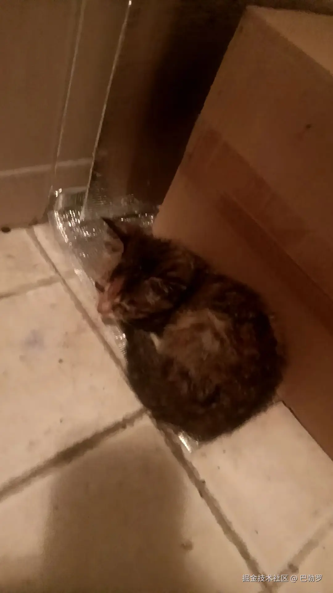 巴勃罗于2025-03-28 11:15发布的图片