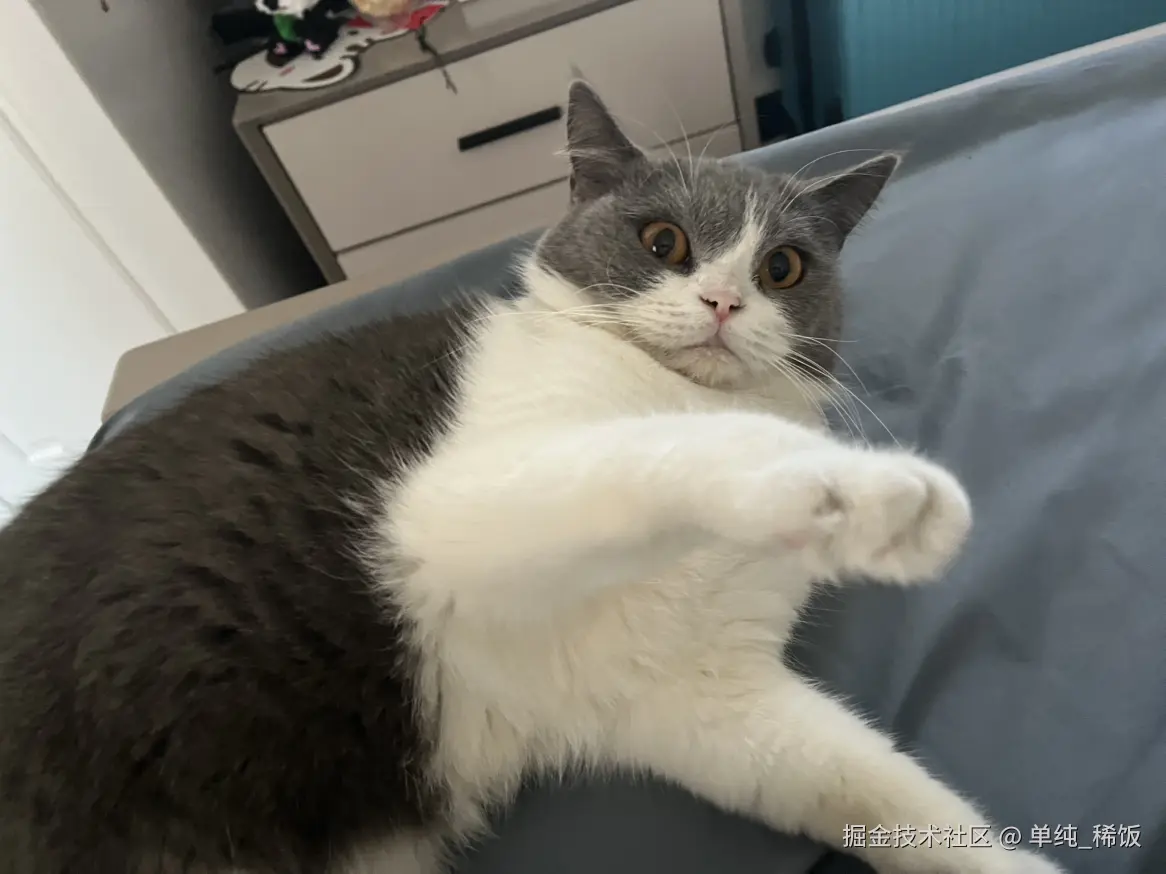 单纯_稀饭于2024-11-28 10:20发布的图片