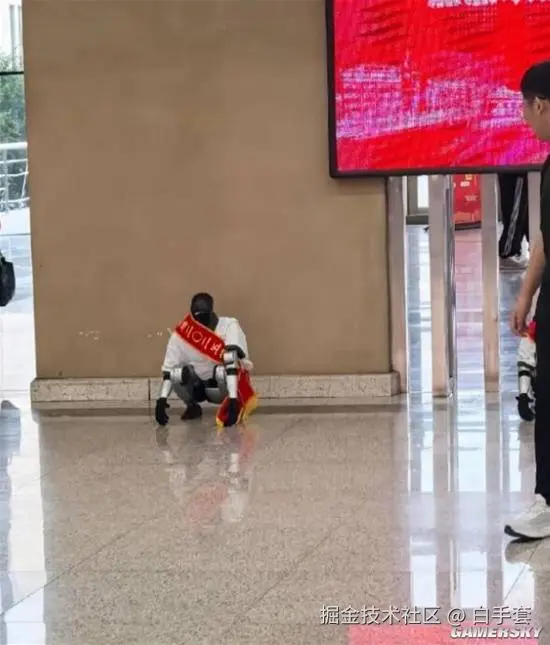 白手套于2025-11-26 15:16发布的图片