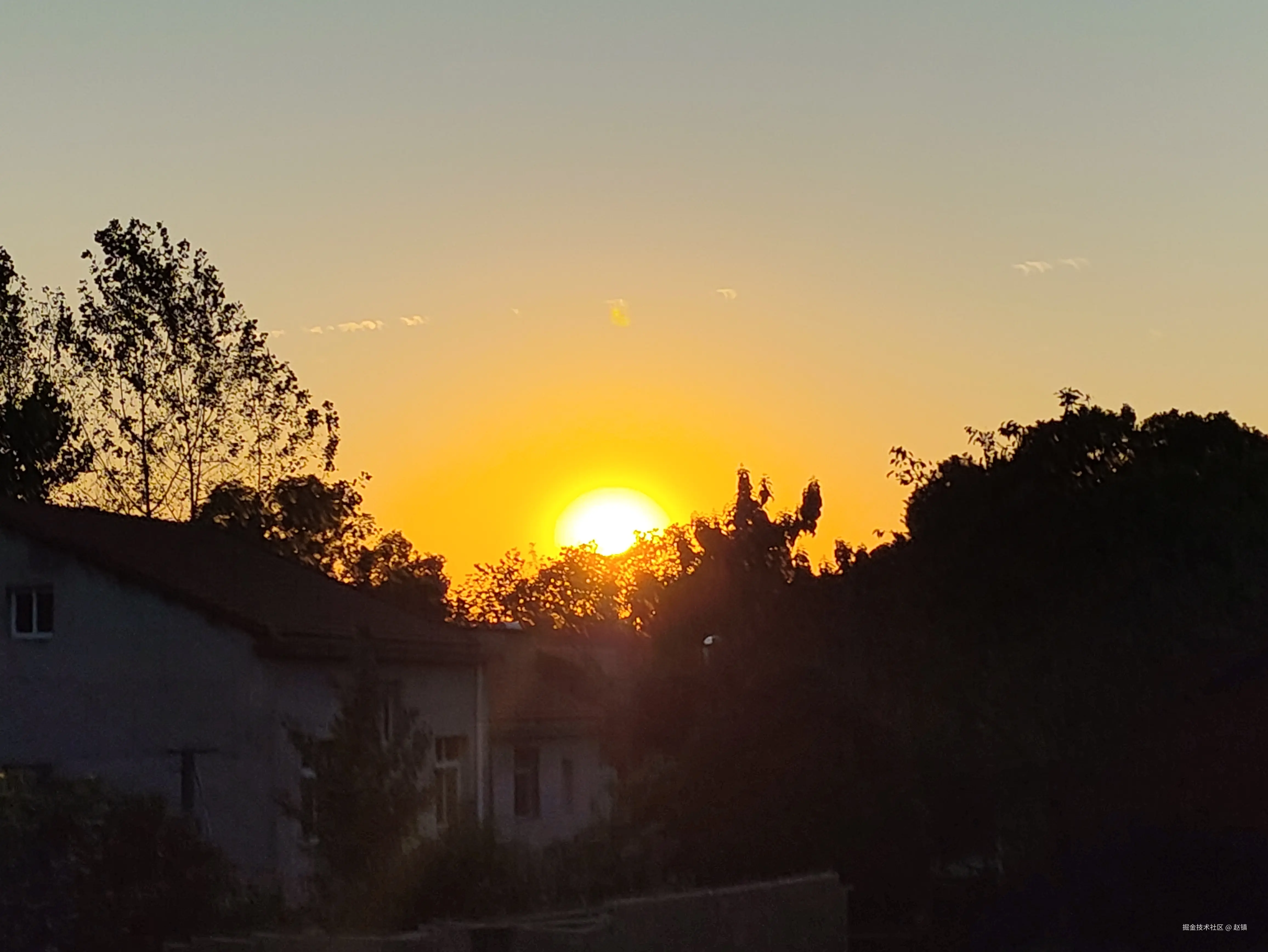 赵镇于2024-10-08 14:22发布的图片